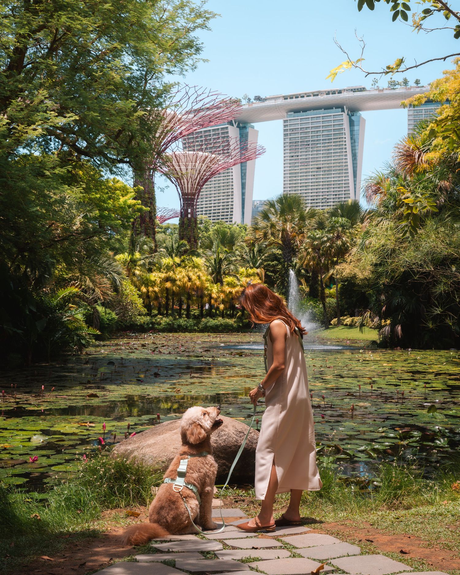 Garden scene with lily pads and Singapore skyline featuring distinctive architecture in background.