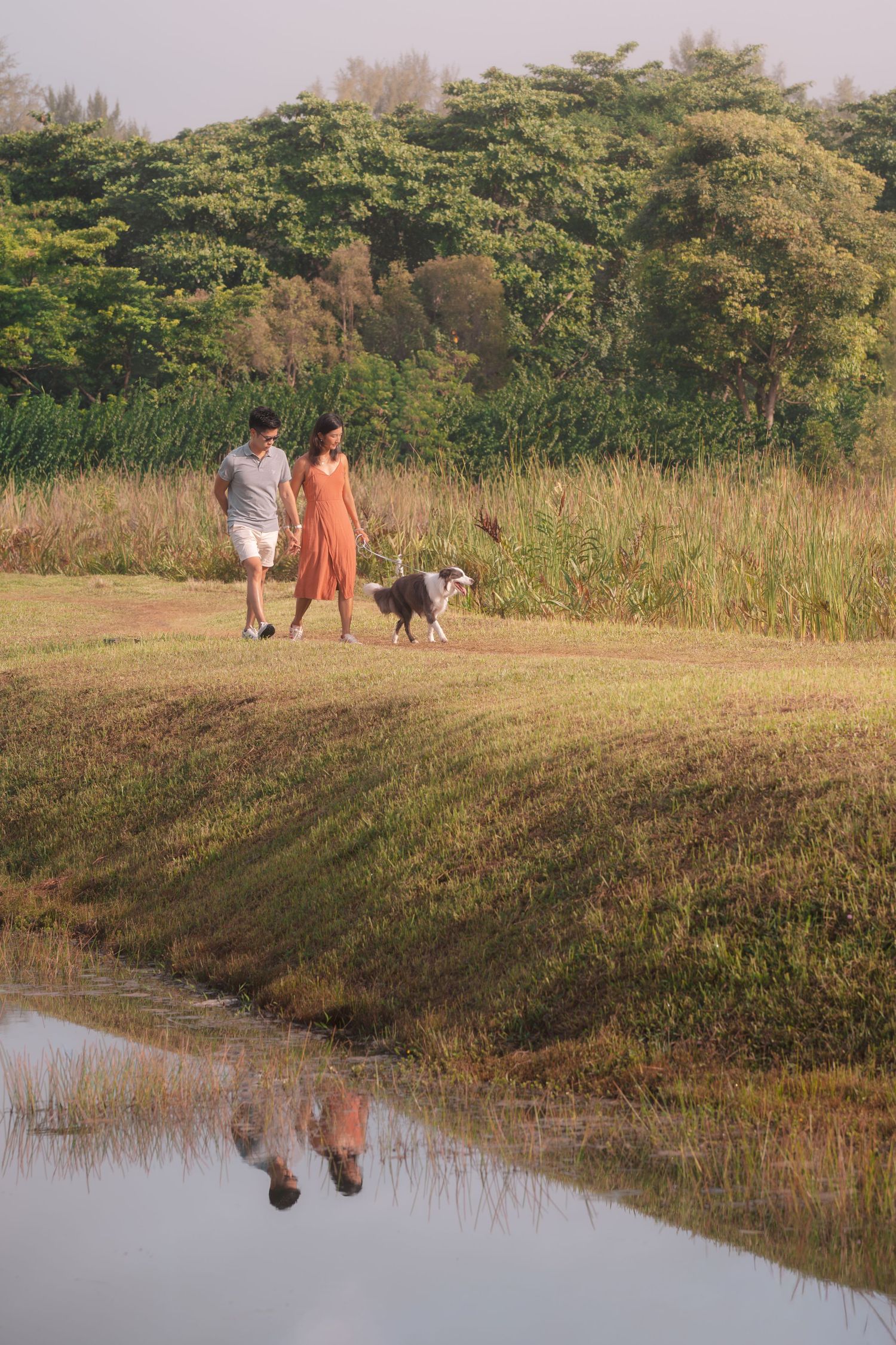 Couple walking dog by a reflective pond with lush green trees and grassland in the background.