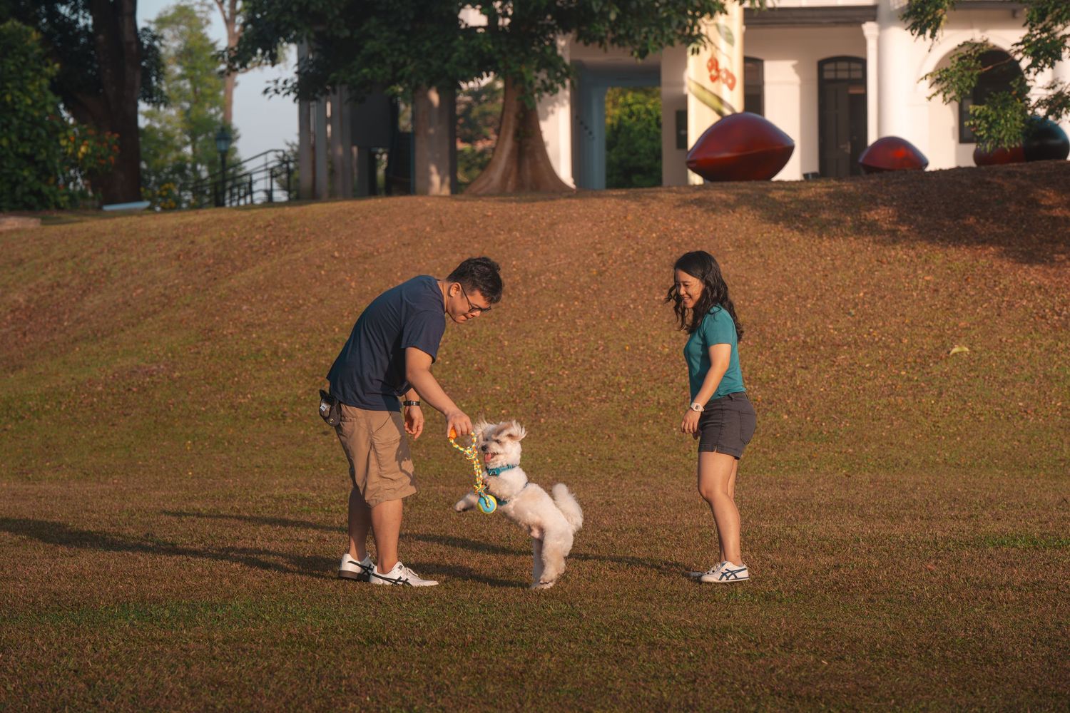 Couple playing with a white dog on a grassy park hill at golden hour.