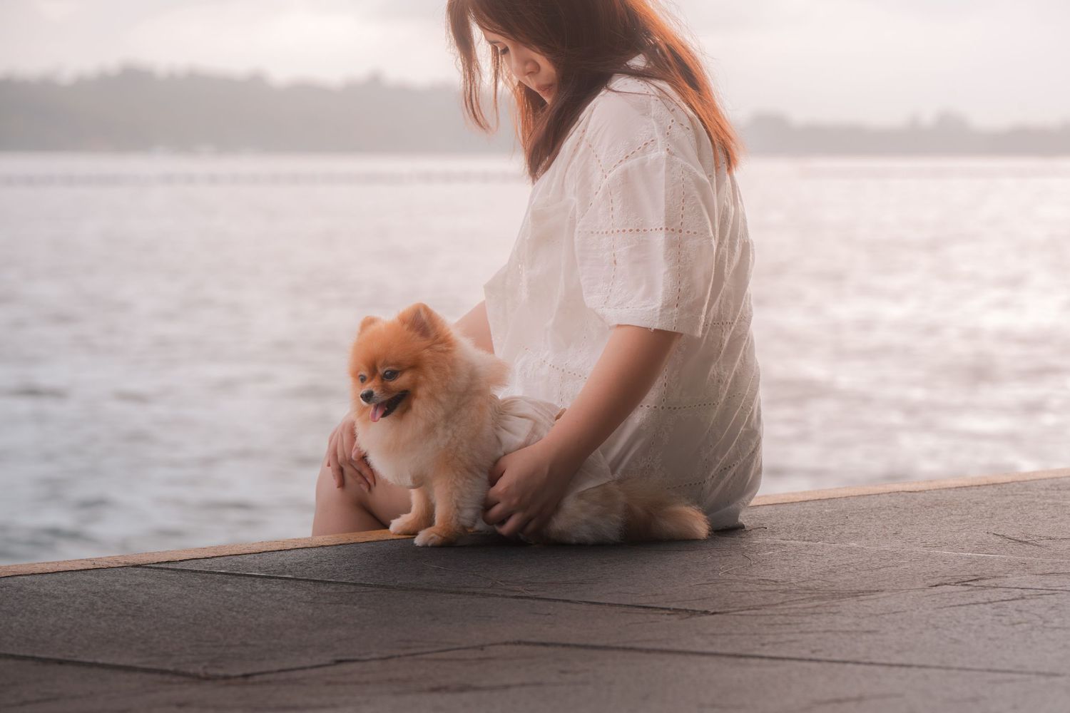 A young woman in a white dress sits on a dock petting a small Pomeranian dog near a calm waterfront.