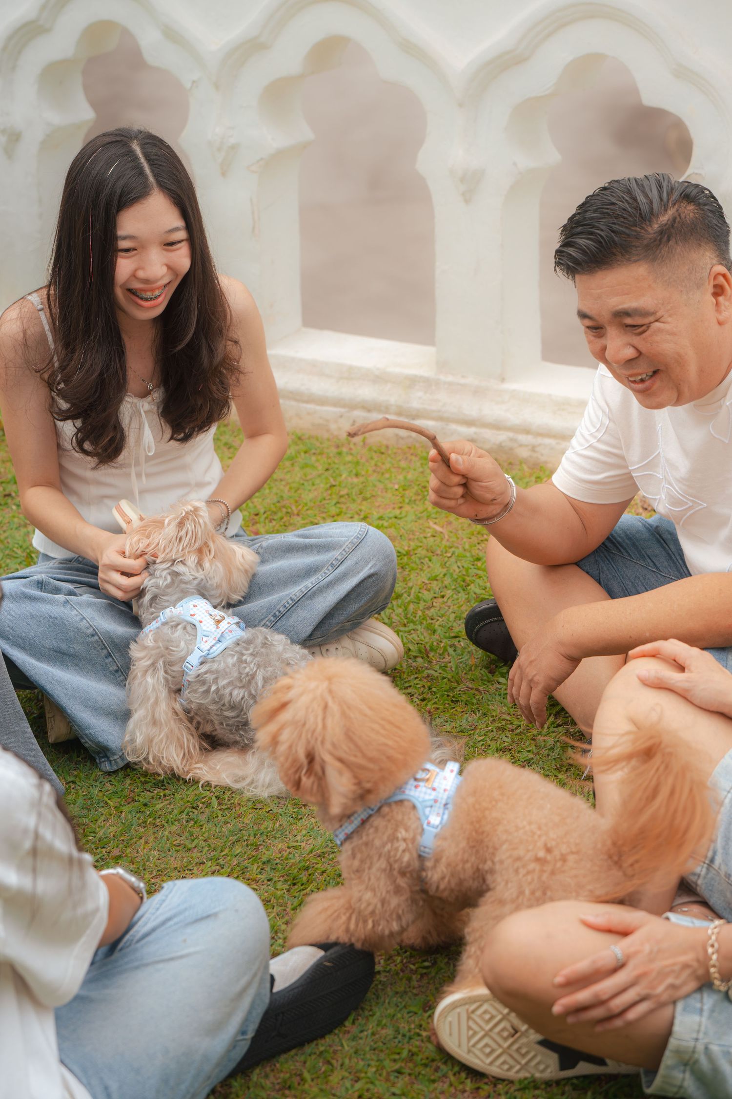 A joyful Asian family sits on grass playing with two fluffy dogs near a white decorative wall.