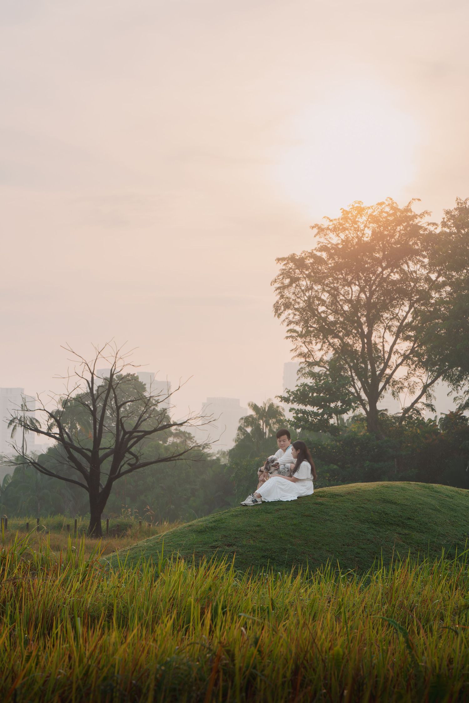 Couple in white sitting on a grassy hill at sunset surrounded by trees and golden fields.