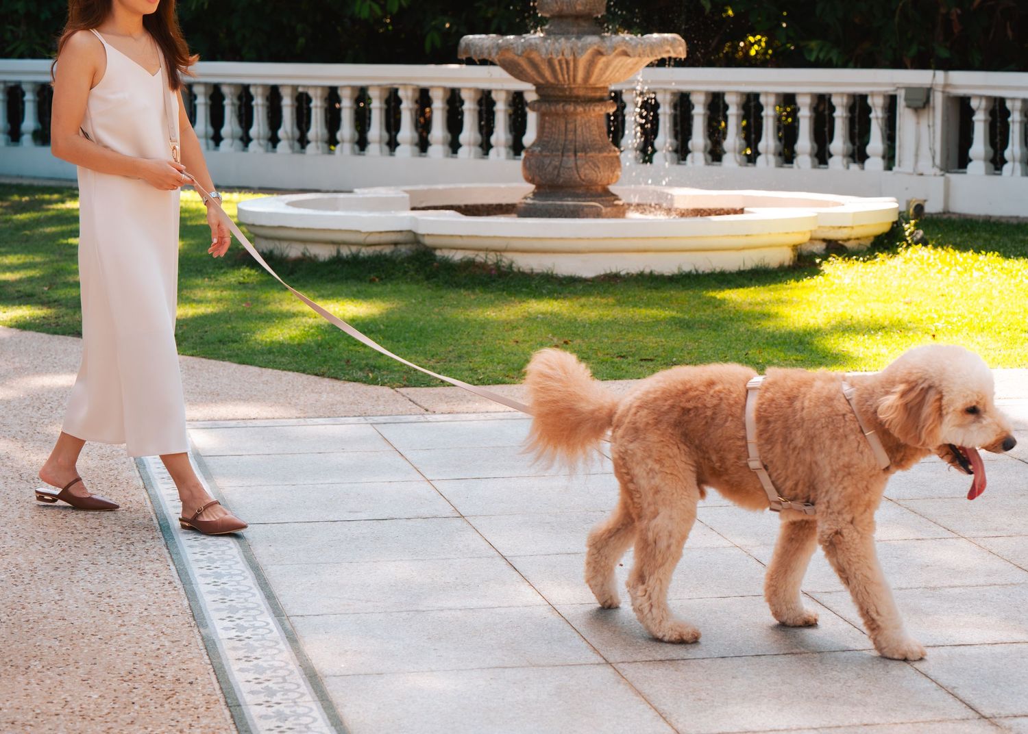 Dogs walking on stone pathway next to decorative white balustrade railing.