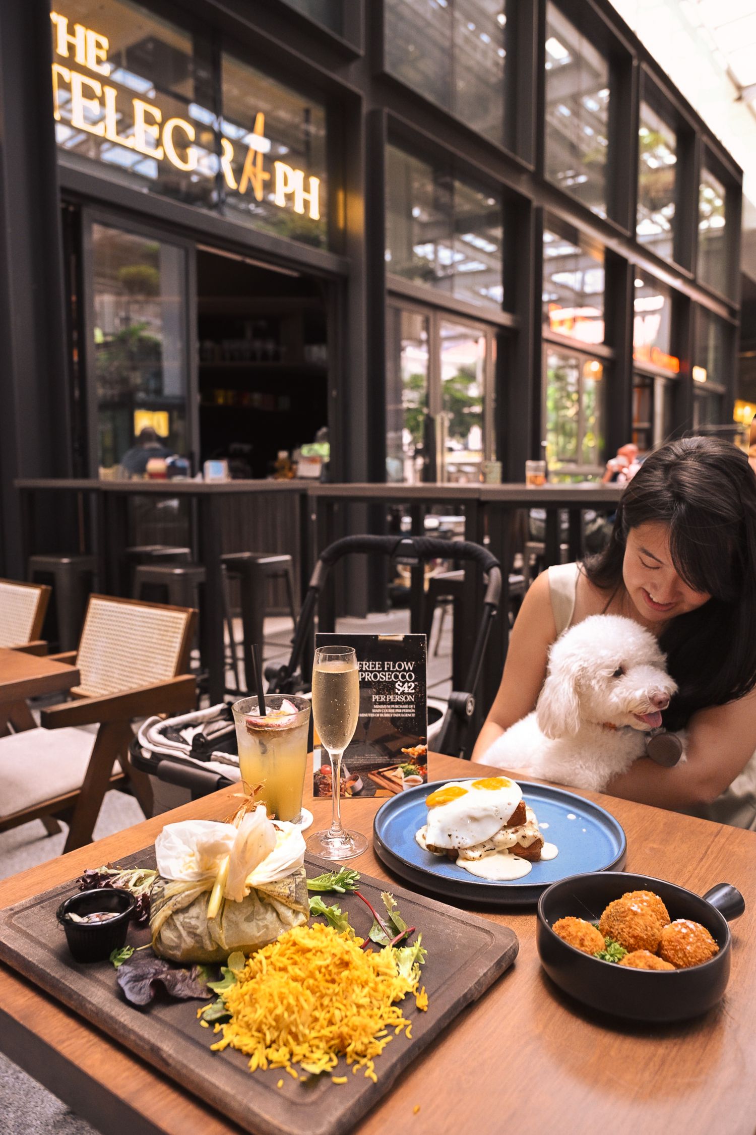Restaurant table with yellow rice, fried food and a white dog sitting nearby.