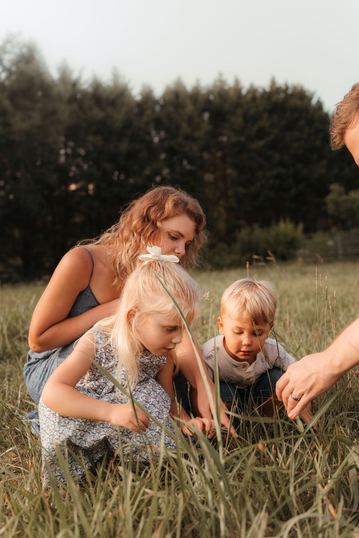 Siblings looking for grasshoppers in an open field during this lifestyle family session at Five Blossoms Farm located in Clover, SC.