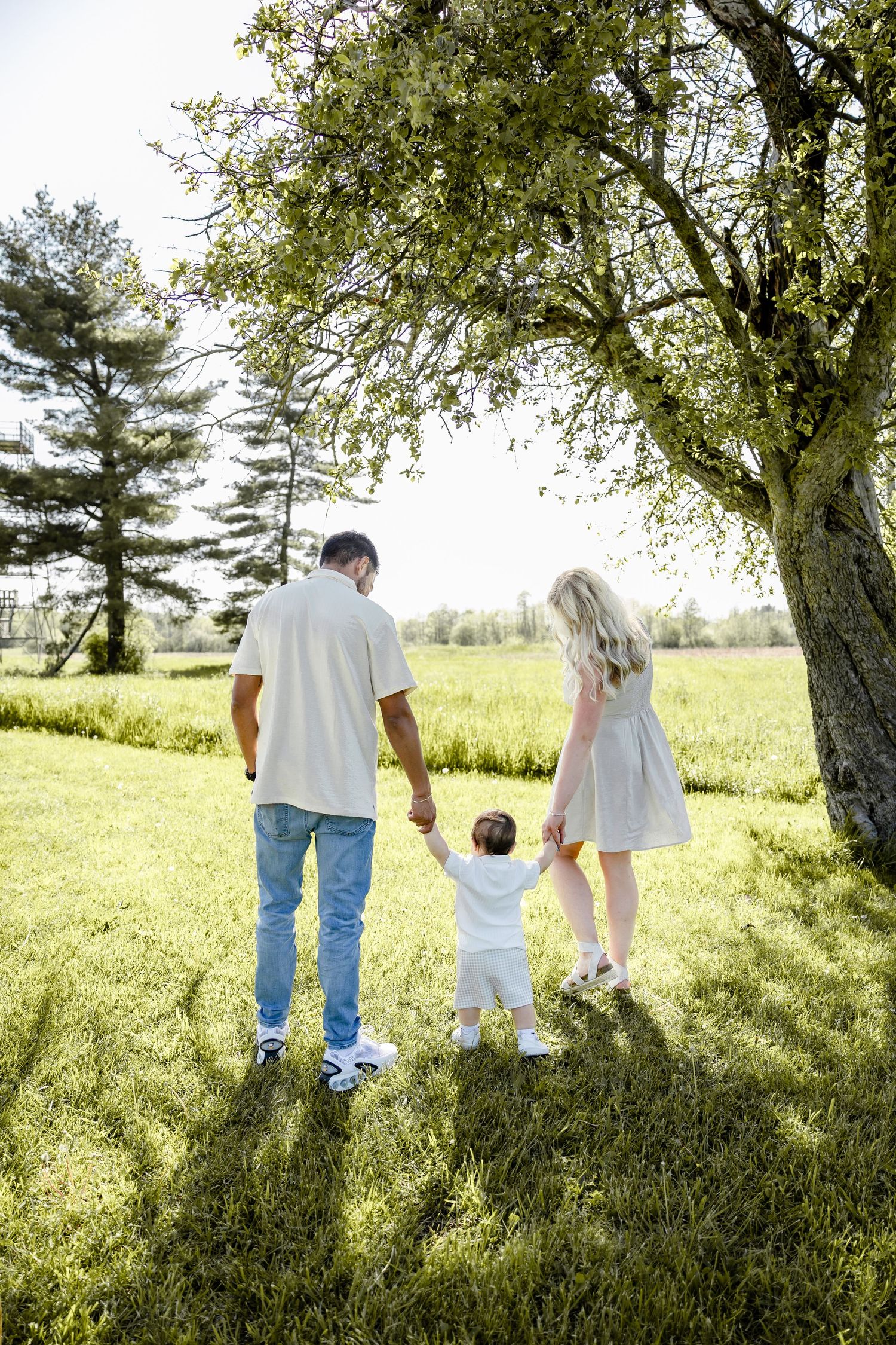 Family of three holding hands walking through lush green park under blooming tree on sunny day.