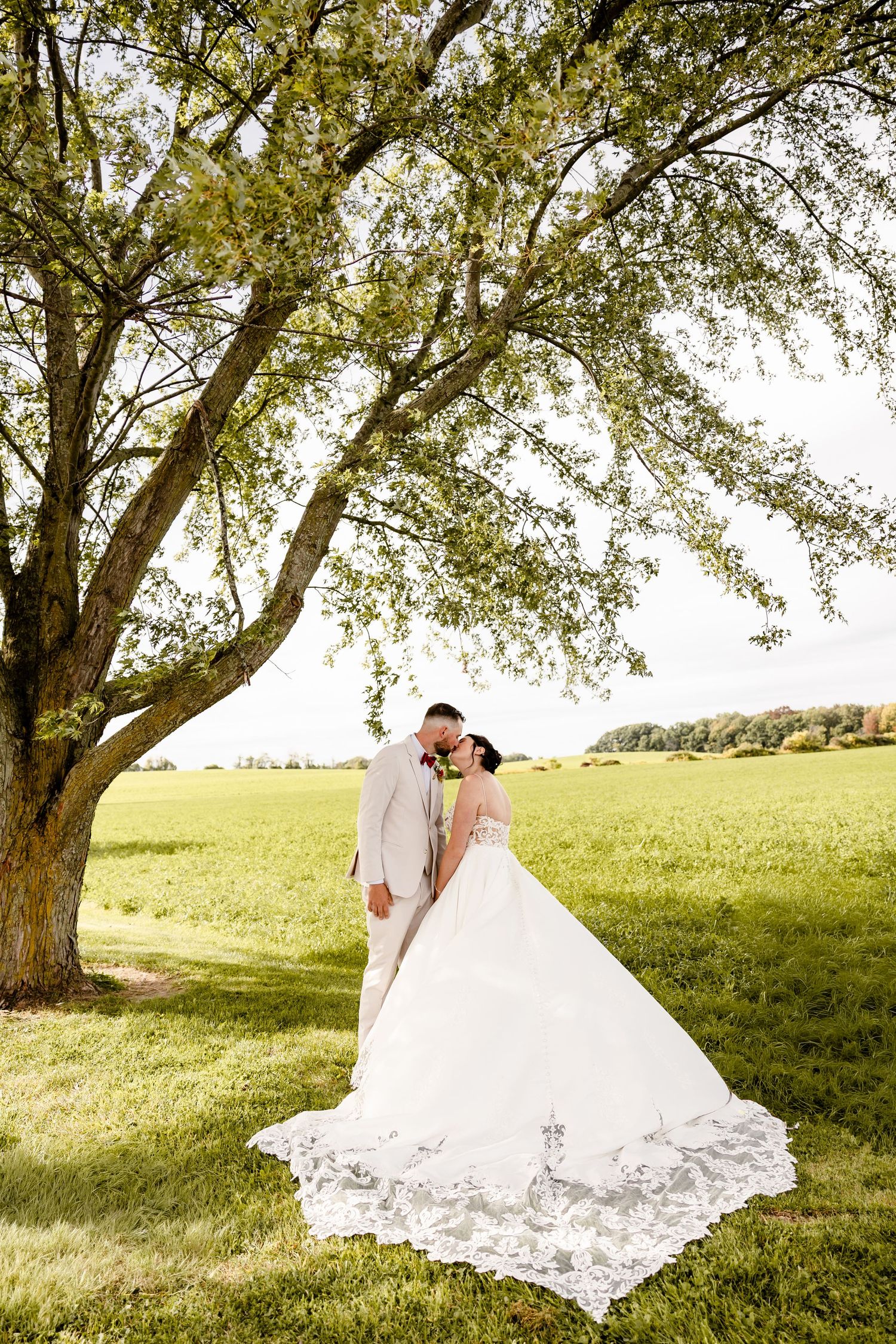 Bride and groom share a romantic kiss under a large tree in a lush green field, bride wearing a flowing lace gown.
