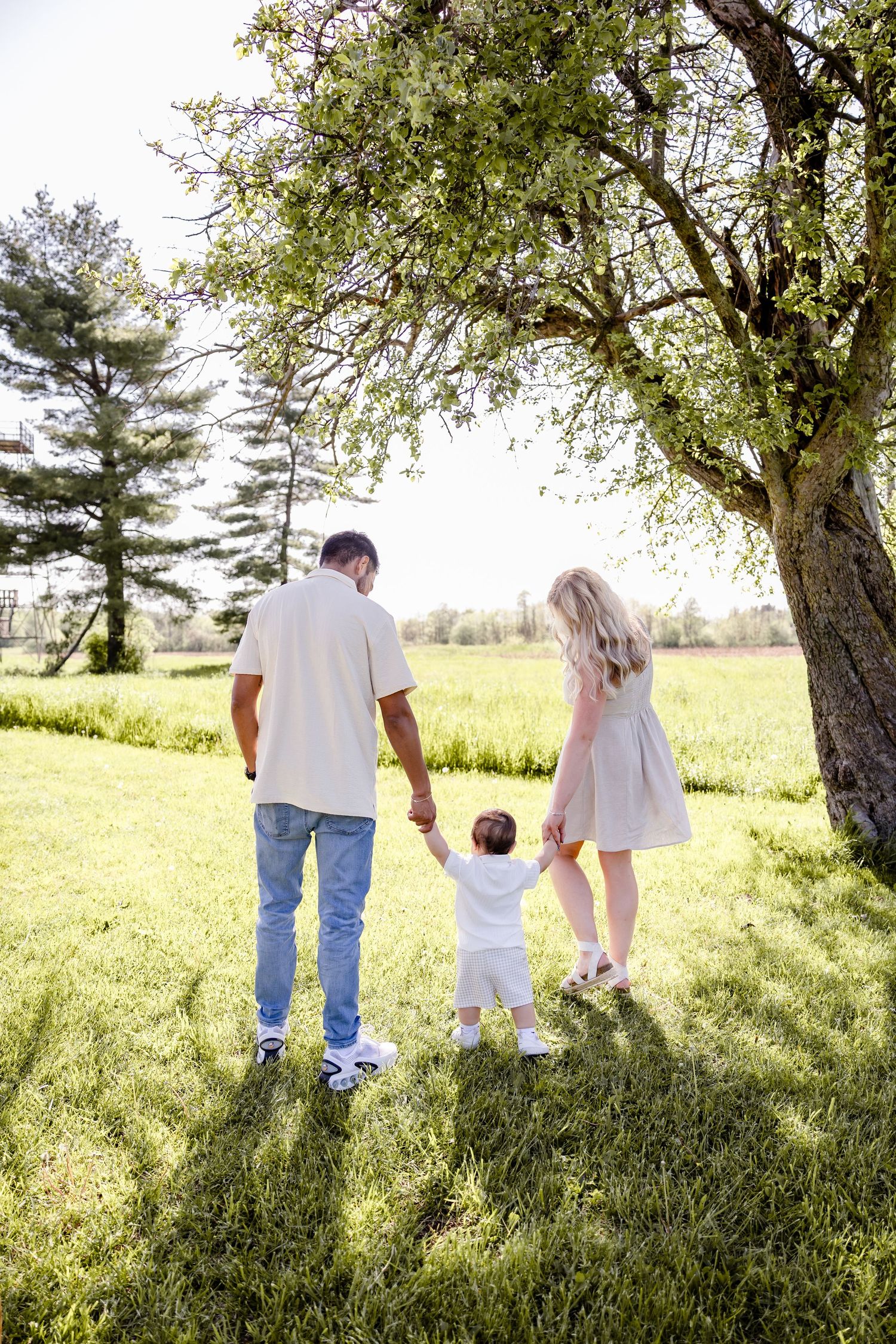 Family of three holding hands under a blooming tree in a sunny green field, viewed from behind.