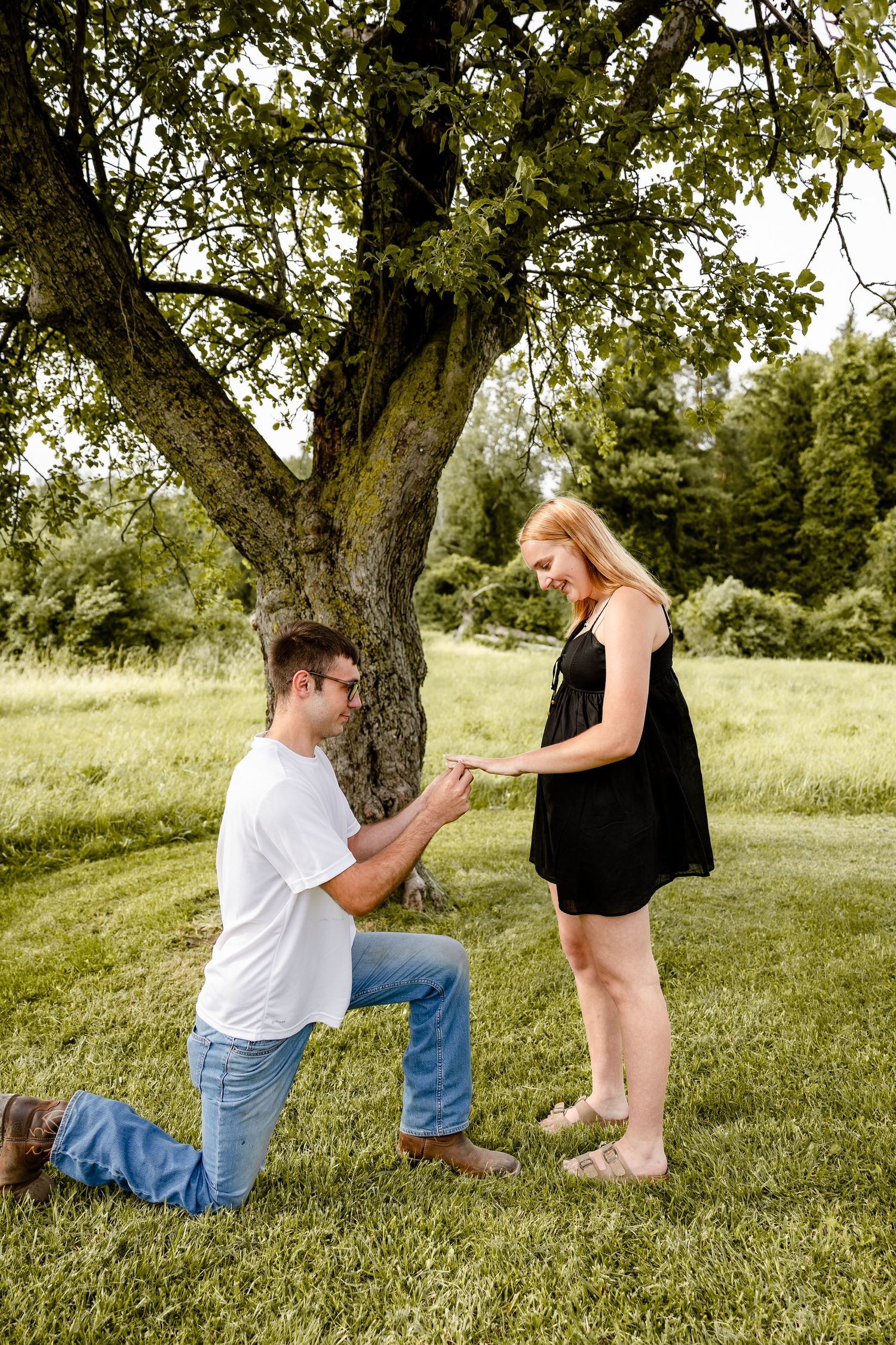 Man kneeling on one knee proposing to a woman in a black dress under a large tree in a lush green park.
