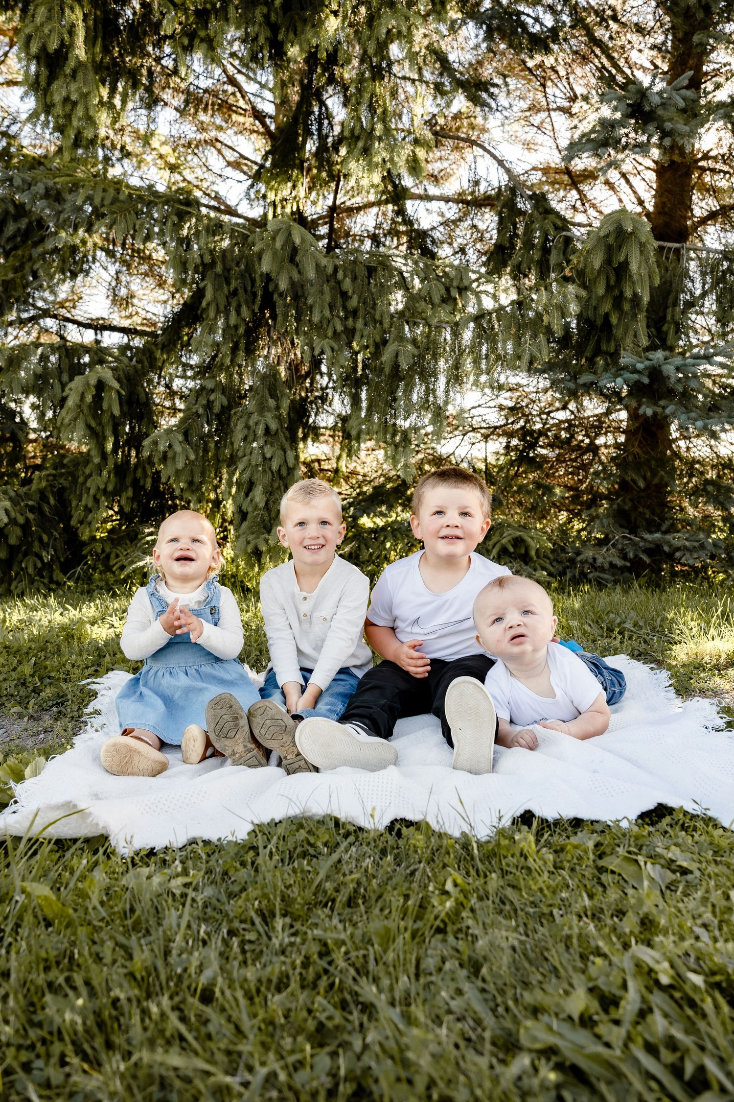 Four young siblings sitting together on a white blanket outdoors under pine trees, smiling happily.