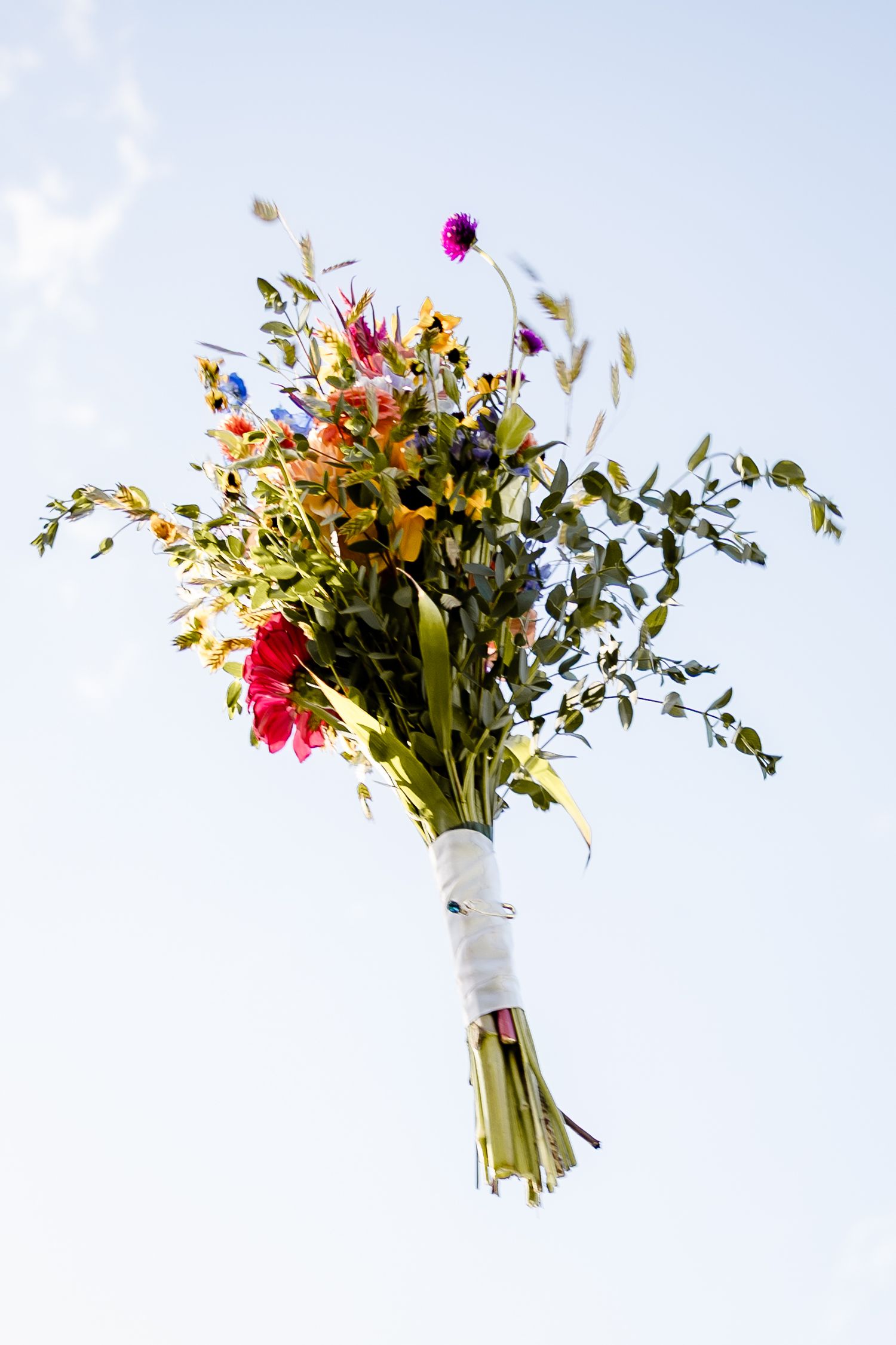 Colorful wildflower bouquet wrapped in white ribbon held against a bright blue sky.