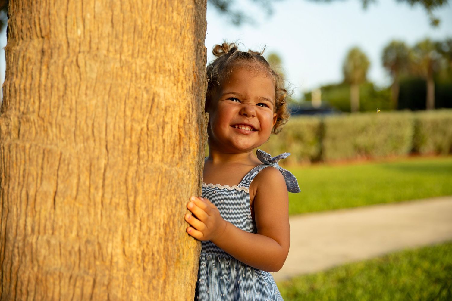 Adorable toddler girl in blue dress peeking around a palm tree trunk in golden sunlight.