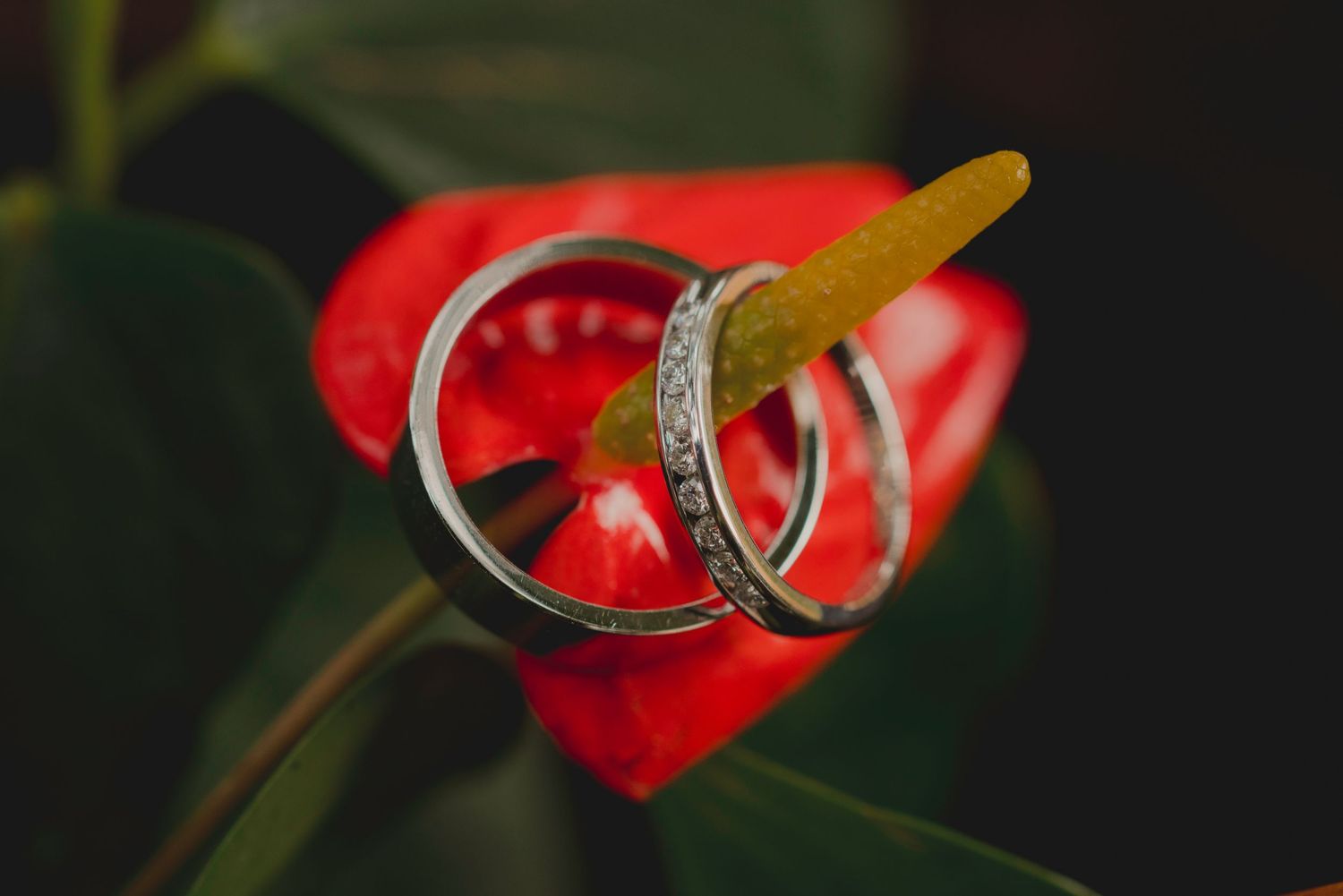 Videógrafo y fotógrafo de Bodas Destino en México Daniel Borrego