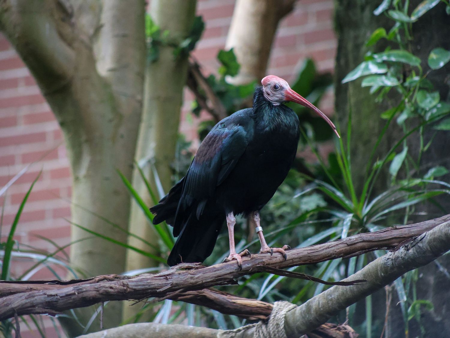 Bird & Wildlife photography by JLD Media.