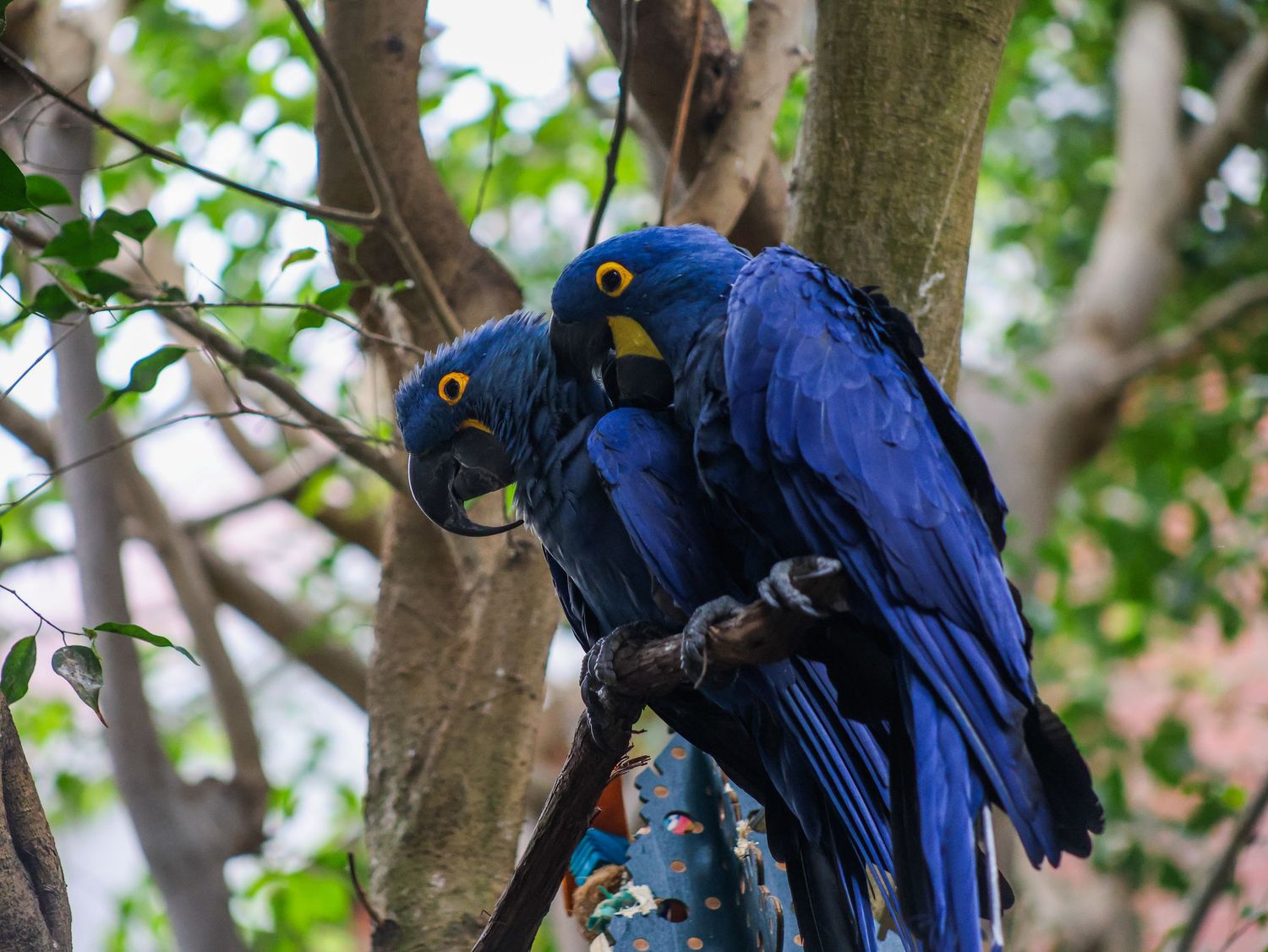 Bird & Wildlife photography by JLD Media.