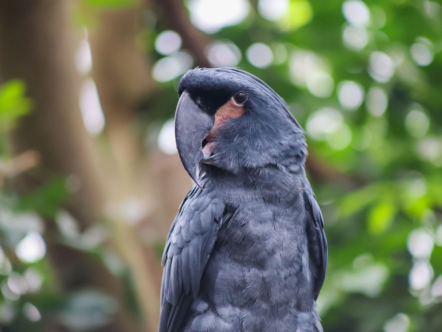 Bird & Wildlife photography by JLD Media.