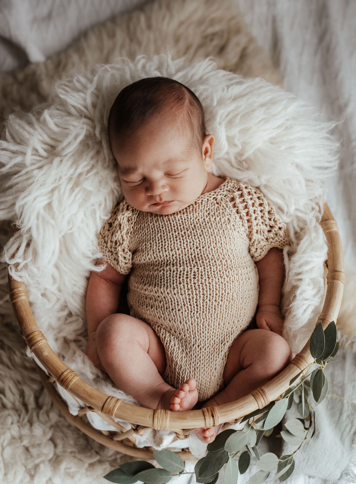 Newborn
