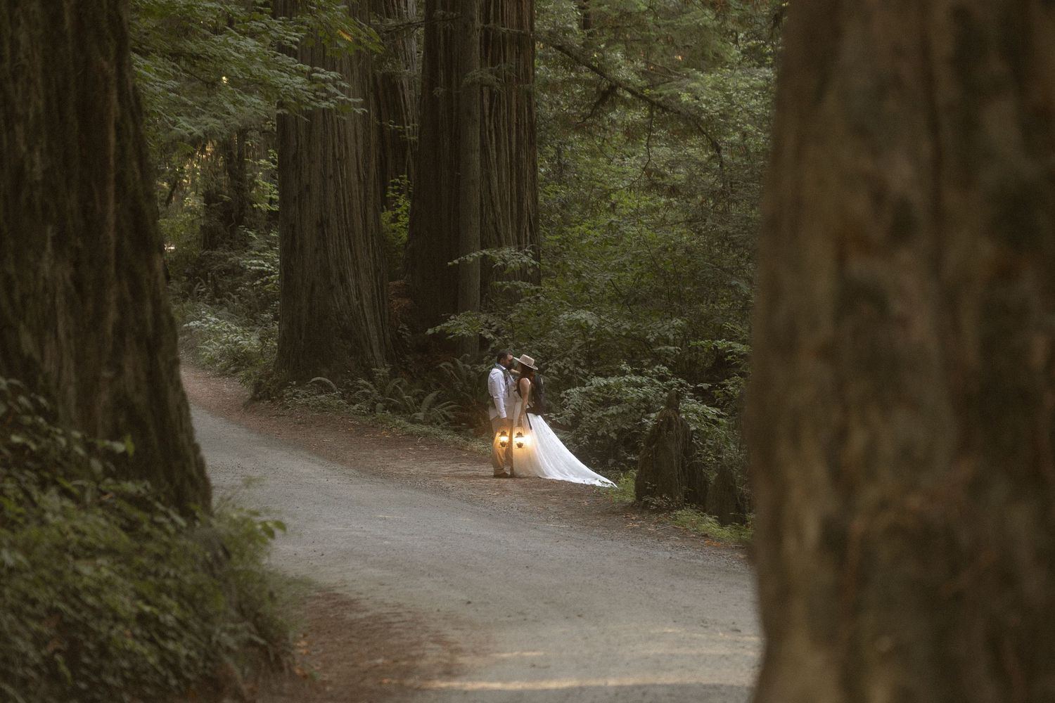 a couple carries a lantern through the redwood forest