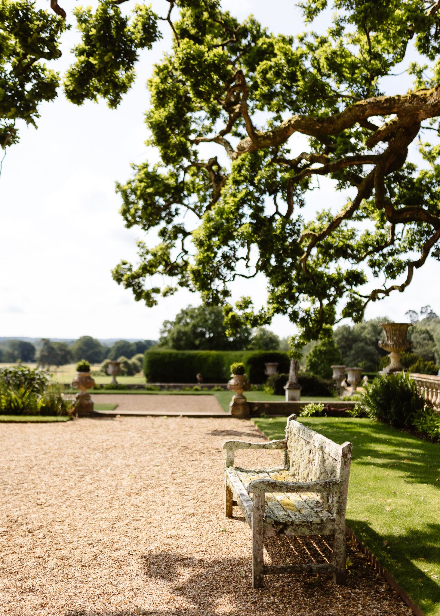 Stone benches line a peaceful garden path under sprawling oak trees.