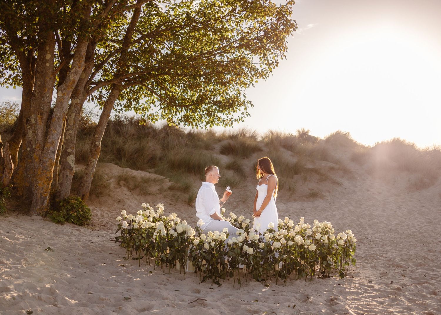 Man proposes to woman on sandy beach at golden hour, surrounded by white floral arrangement near trees.