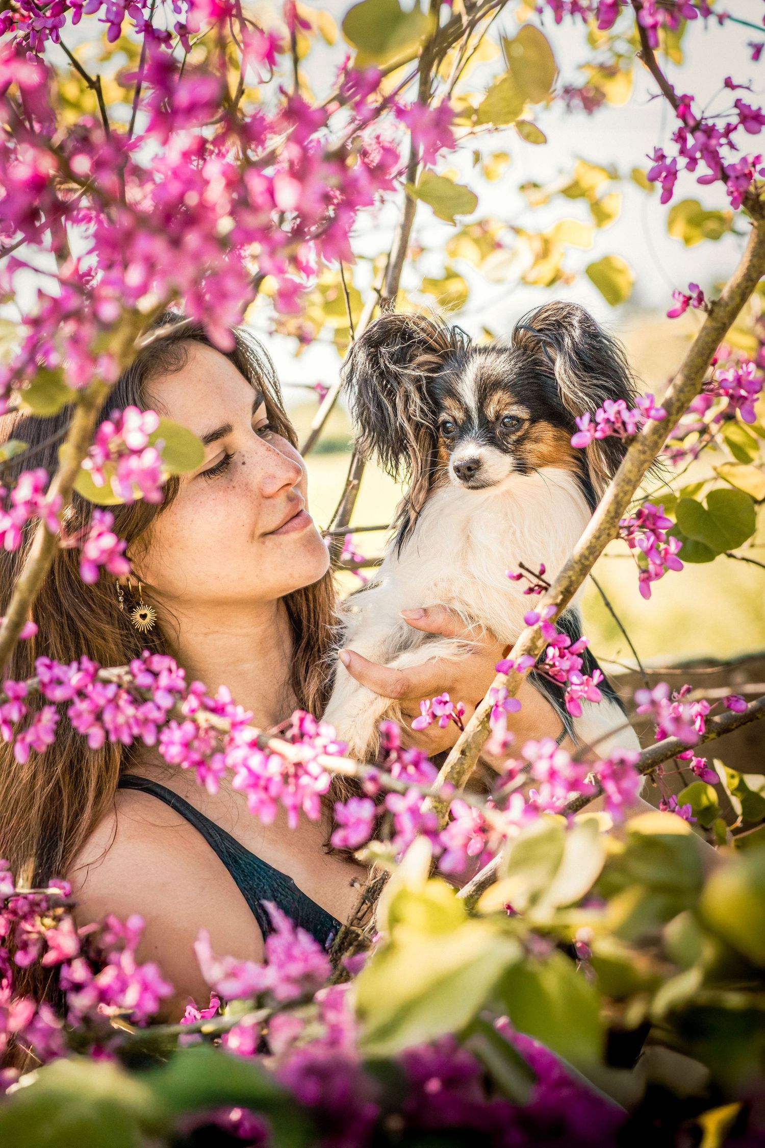 Photo portrait femme et chien Papillon dans les fleurs roses. Wenaewe photographie sarthe photographe animalier. Duo complice au printemps.