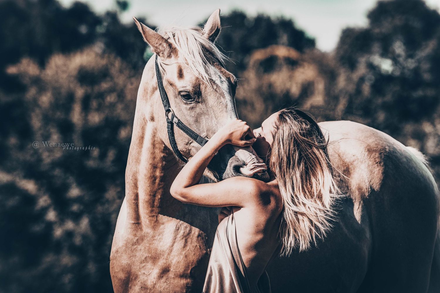 Photo portrait Wenaewe photographie sarthe photographe animalier Femme et cheval Palomino, gros plan, baiser, lien émotionnel fort. onirique