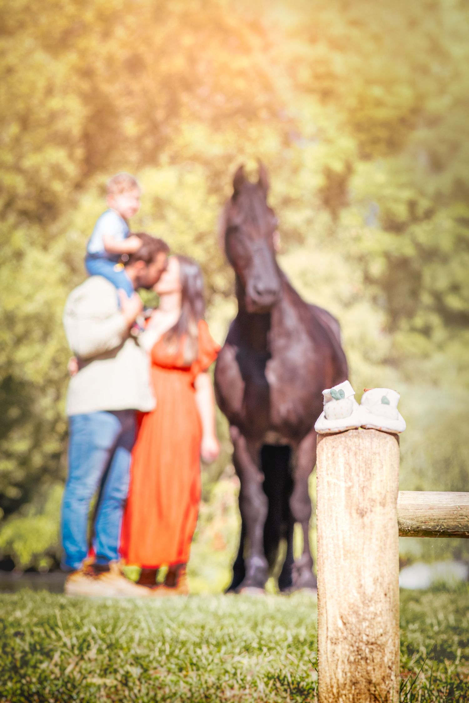 Photo portrait chaussons de bébé. Wenaewe photographie sarthe photographe animalier. Famille et cheval couple Grossesse. Neuville sur sarthe
