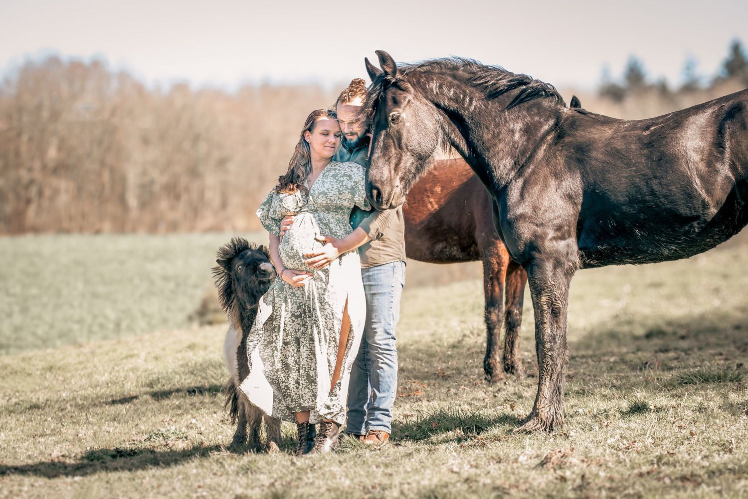 Portrait Wenaewe photographie sarthe Le Mans photographe animalier Couple, femme enceinte, cheval, chien, séance photo grossesse champs