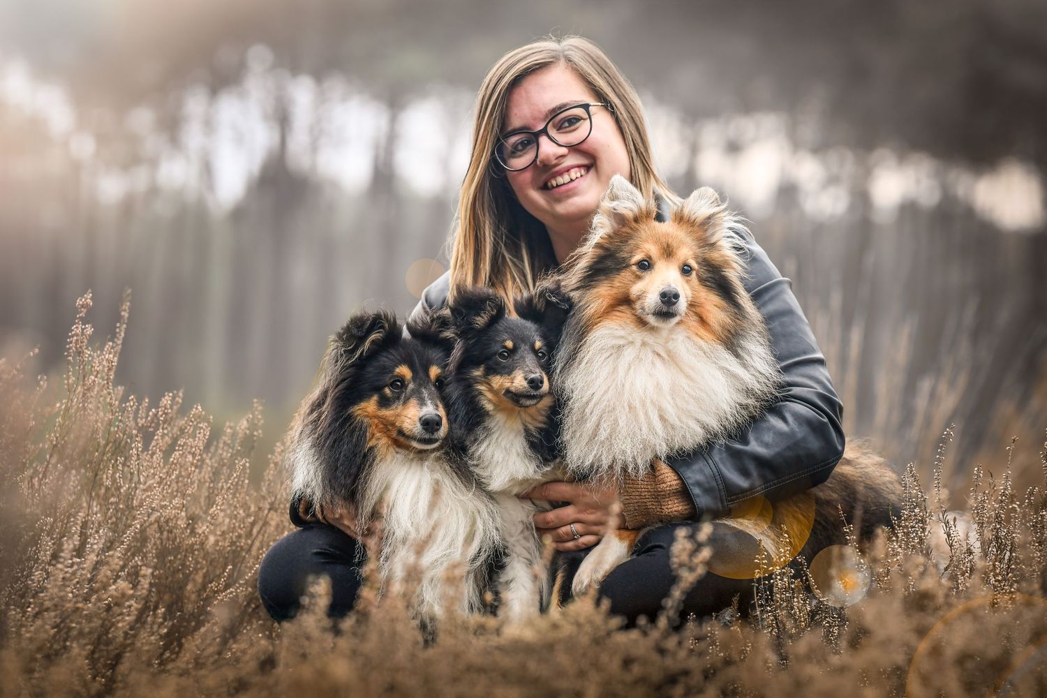 Photo portrait femme et 3 chiens Sheltand. Wenaewe photographie sarthe photographe animalier Famille canine souriante dans bruyère automne