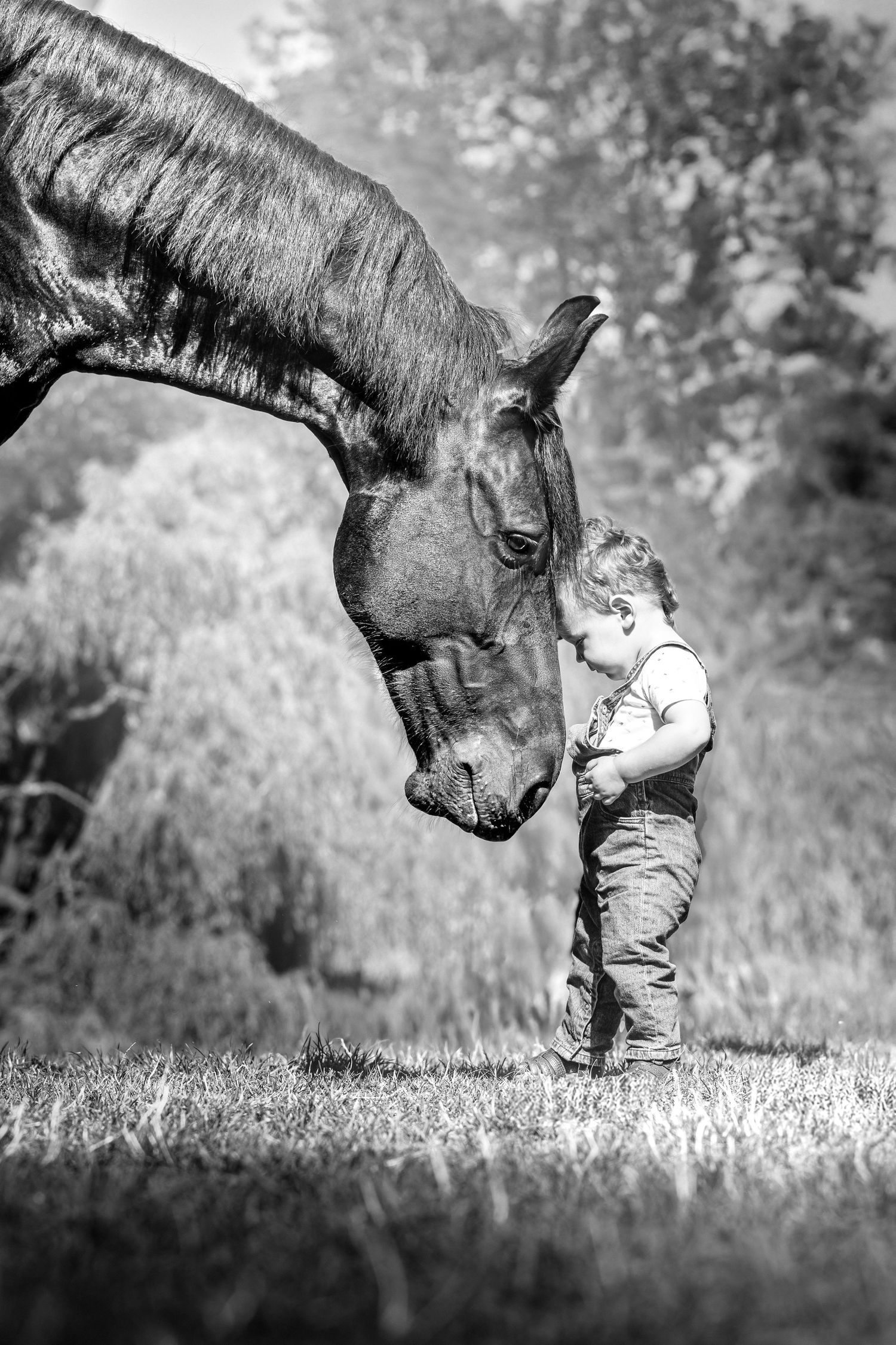 Photo noir et blanc d'un petit enfant et d'un cheval en tête à tête, capturant un moment de complicité, d'authenticité Wenaewe Photographie