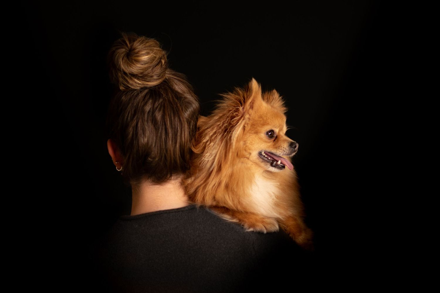 Portrait Wenaewe photographe Sarthe Le Mans Champagné Mulsanne photographe chien chevaux chat chiot studio fond noir spitz complicité regard