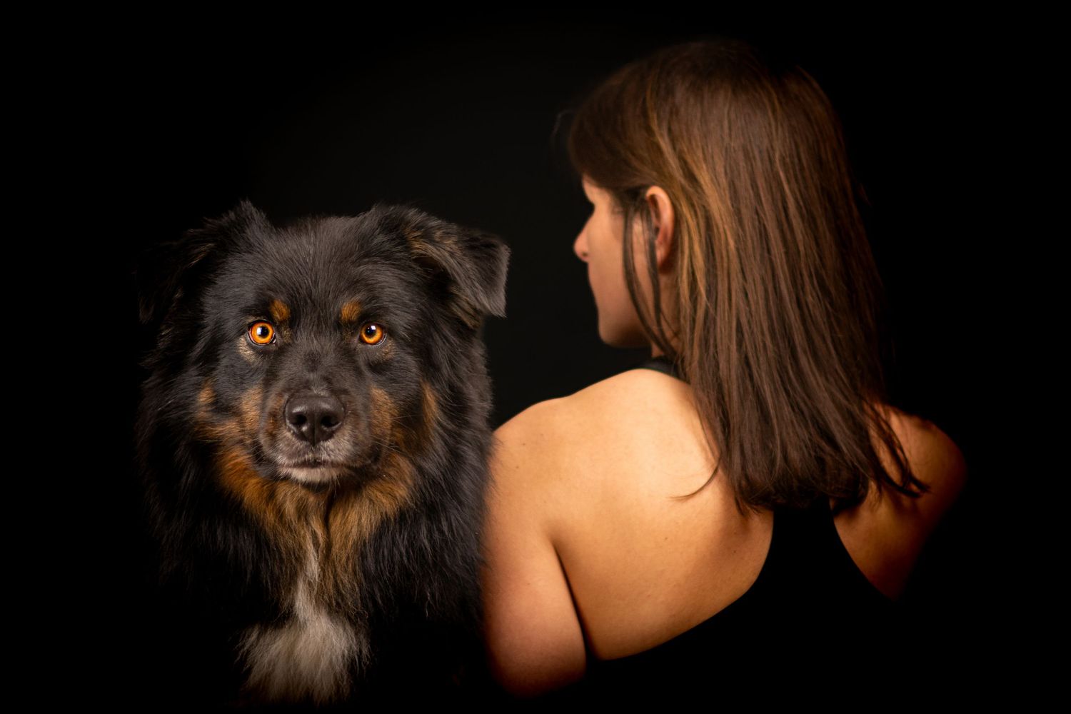 Portrait Wenaewe photographe Sarthe Le Mans Champagné Mulsanne photographe chien chevaux chat chiot studio fond noir berger australien