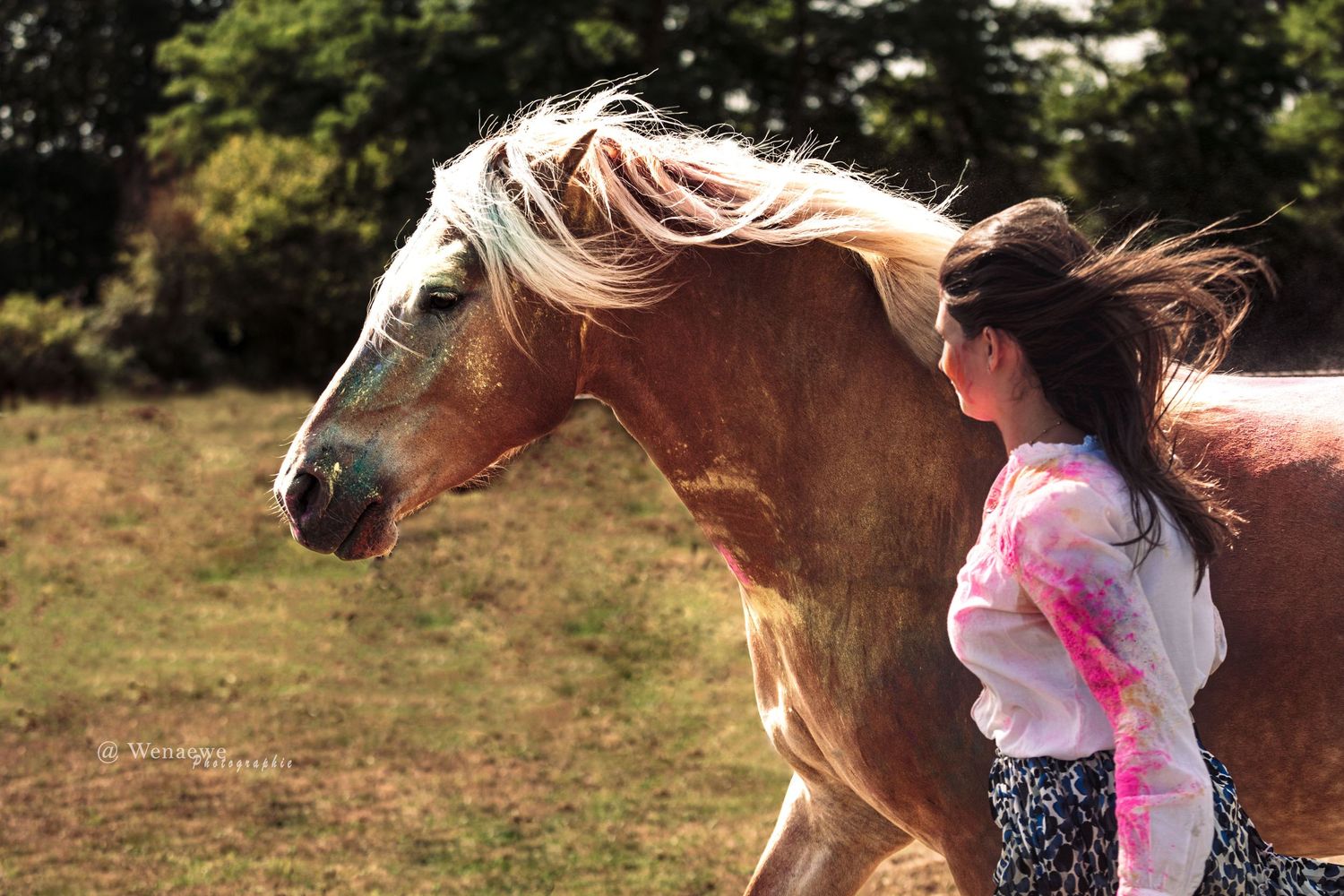 Portrait femme et cheval Wenaewe photographie sarthe photographe animalier Photo en mouvement avec poudre holi powder couleur dans un champs