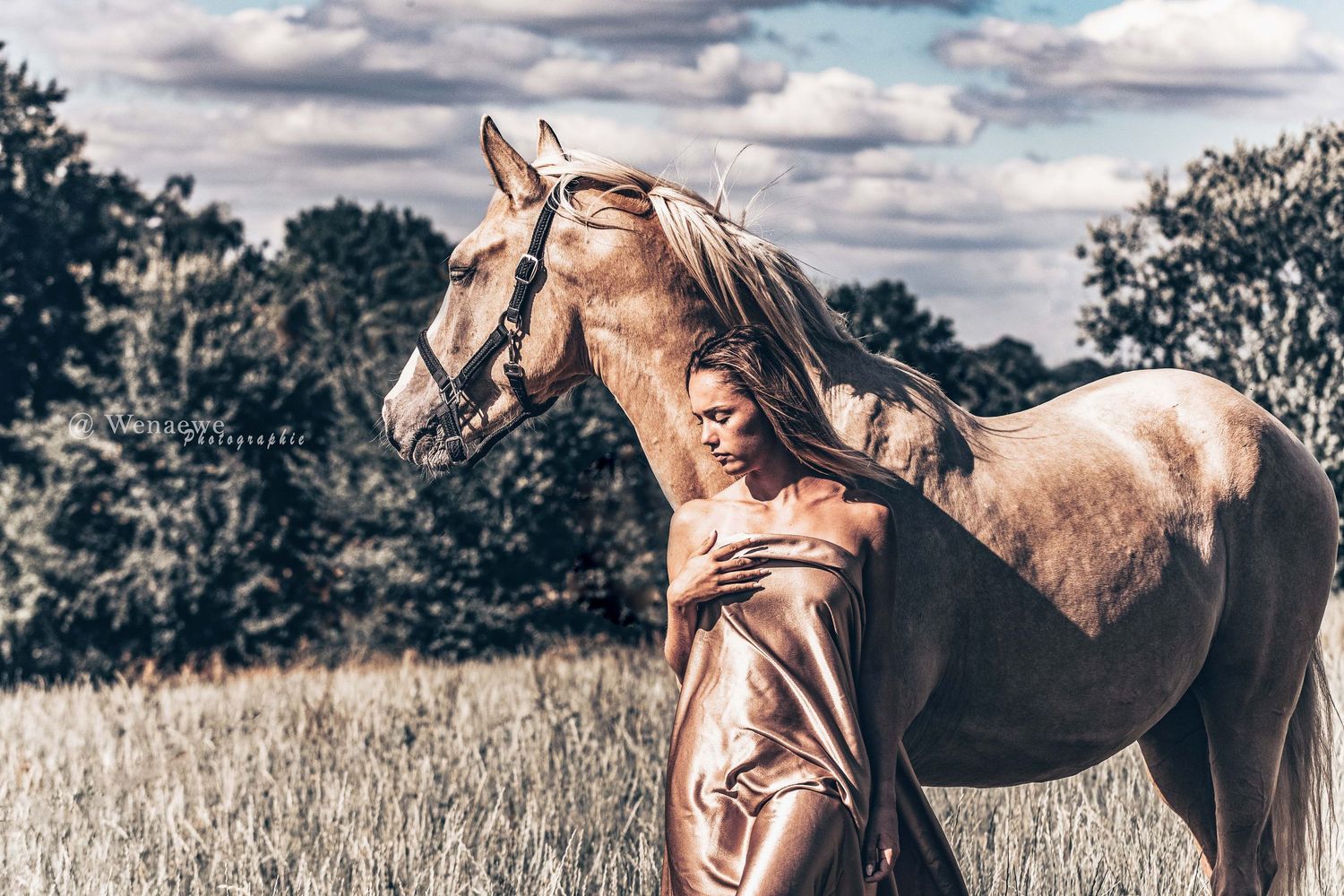 Photo portrait Wenaewe photographie sarthe photographe animalier Femme drapée or posant avec cheval Palomino, portrait équestre, onirique