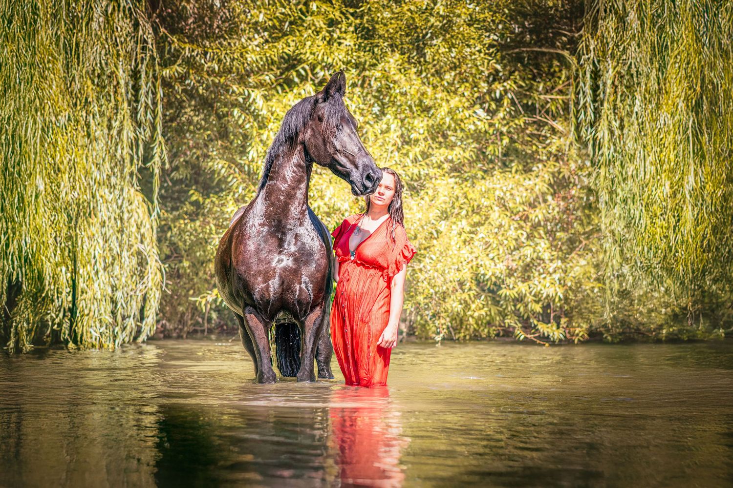 Portrait Wenaewe photographie sarthe Le Mans photographe animalier Femme robe rouge et cheval noir dans l'eau, scène artistique et onirique