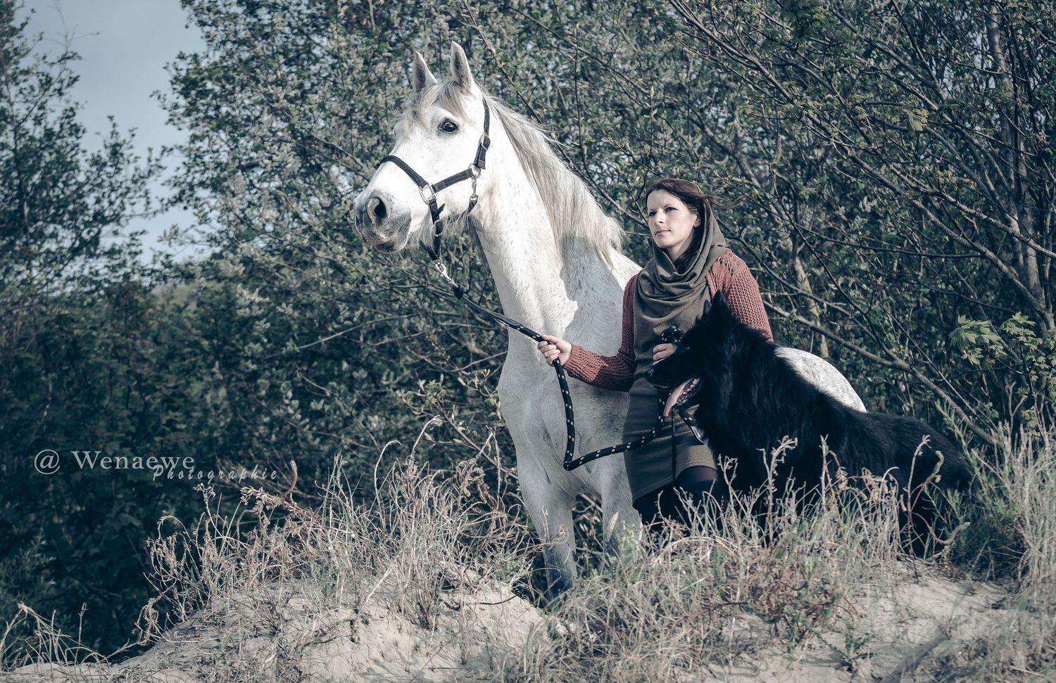 Photo portrait femme cheval gris et chien. Wenaewe photographie sarthe photographe animalier. Trio en nature ambiance onirique, force viking