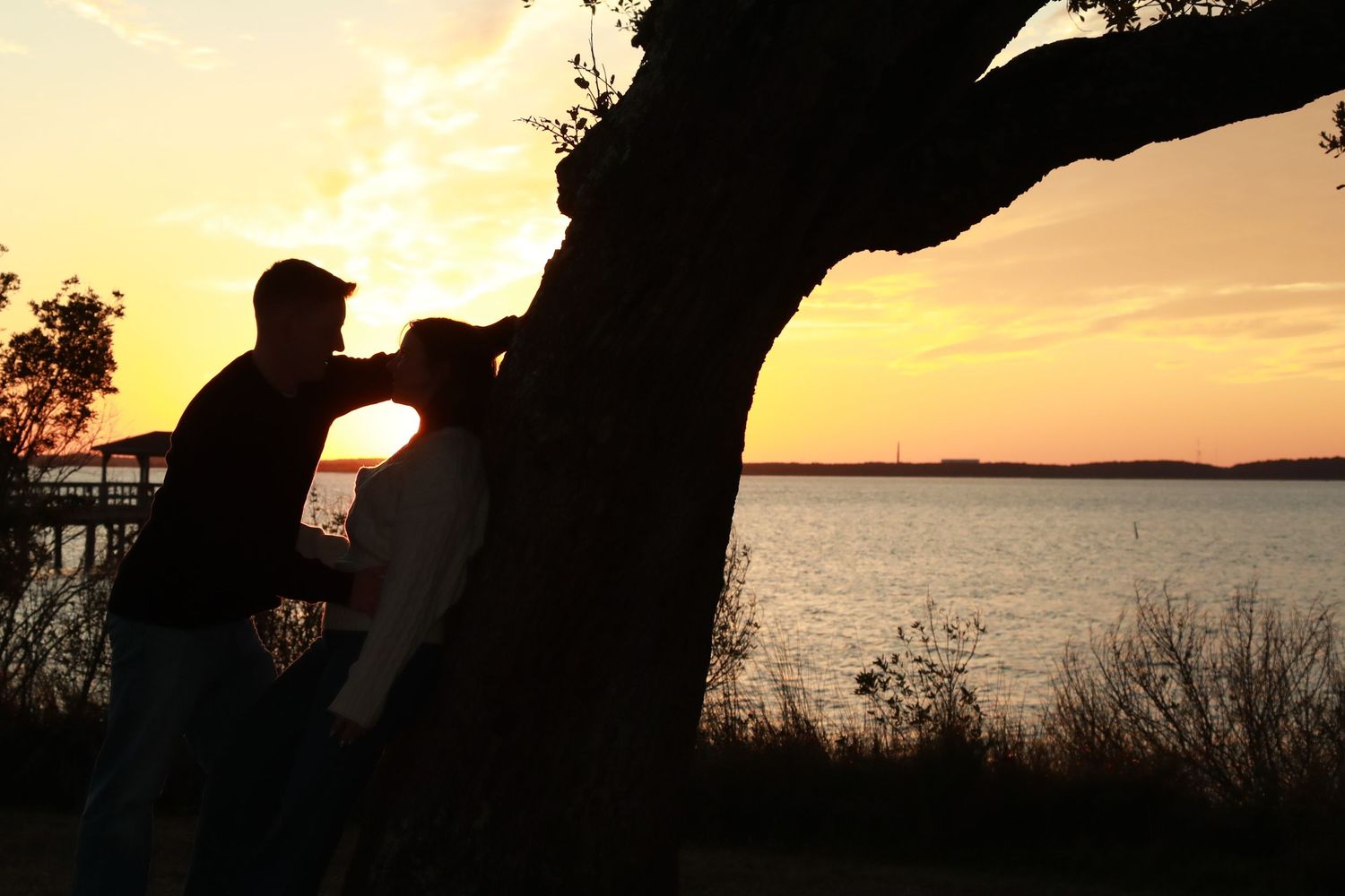 Silhouette of couple kissing by large tree at golden sunset over calm lake water.