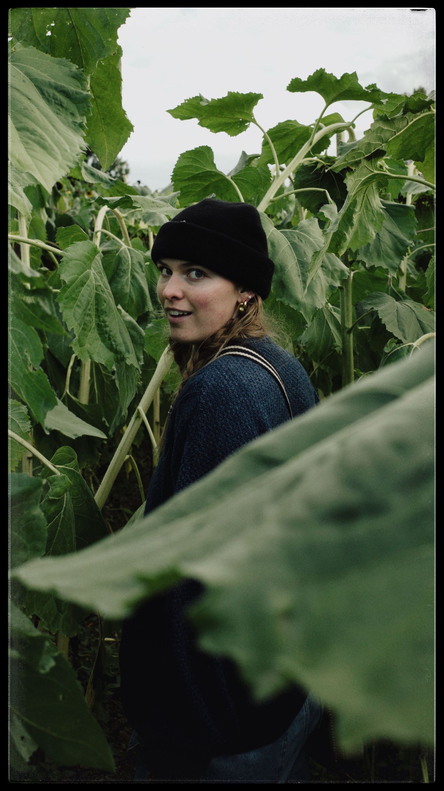 Woman in black beanie and blue sweater smiling among tall green sunflower plants in a garden field.