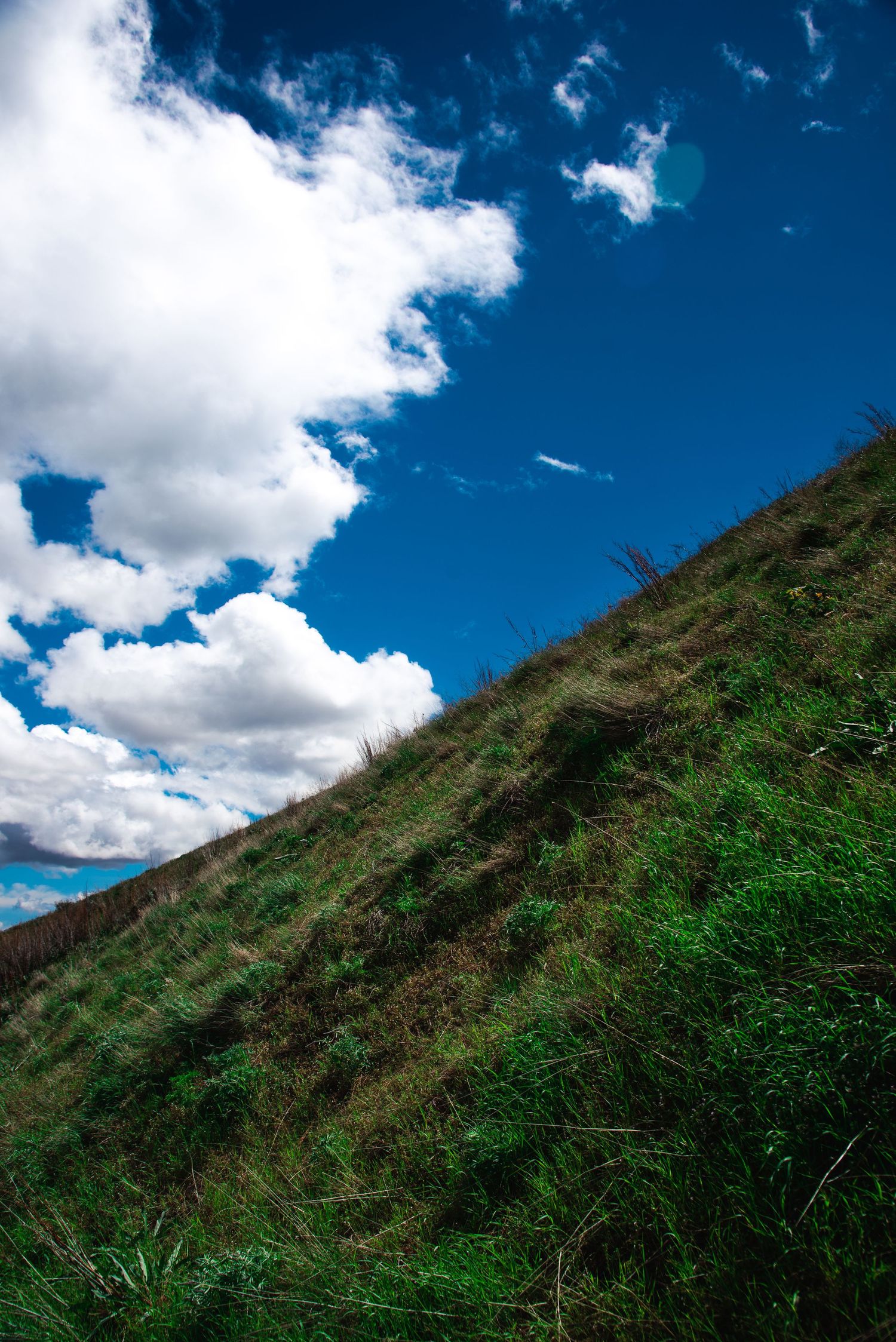 Beautiful landscape photography in Cashmere, Washington up Naham Canyon during the summer.
