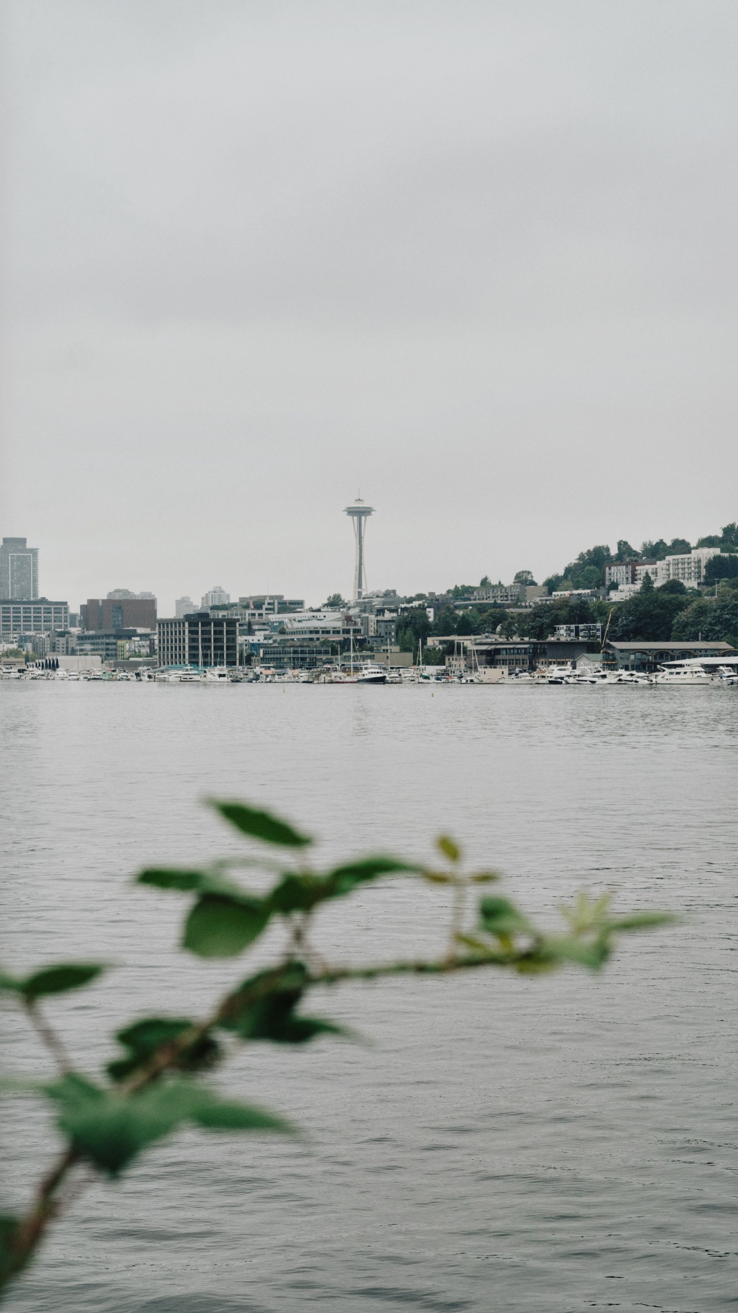 Moody engagement photos in Seattle, Washington at Gas Works Park on a foggy morning with film.