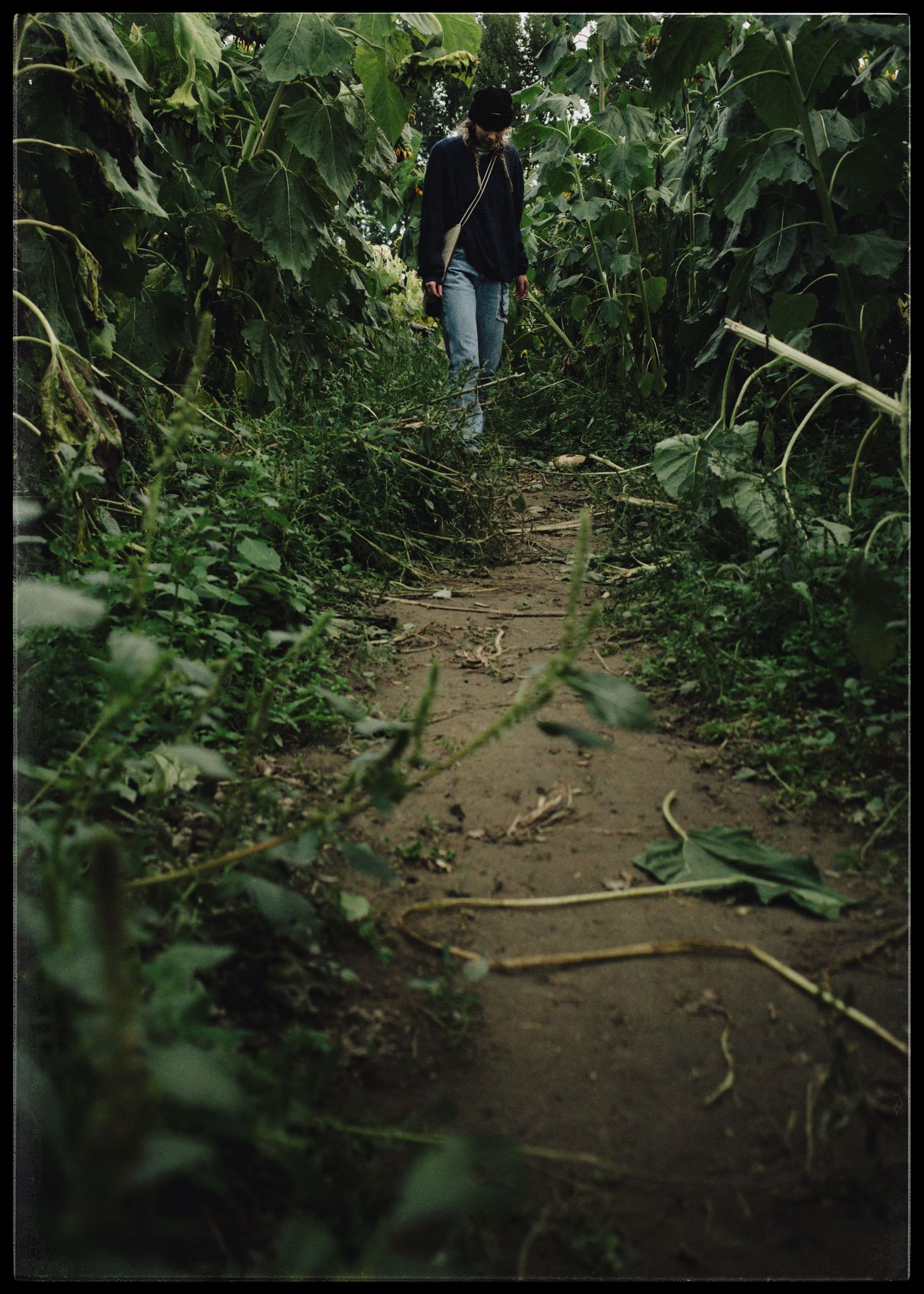 Person walking down a narrow dirt path surrounded by lush green tropical vegetation and plants.