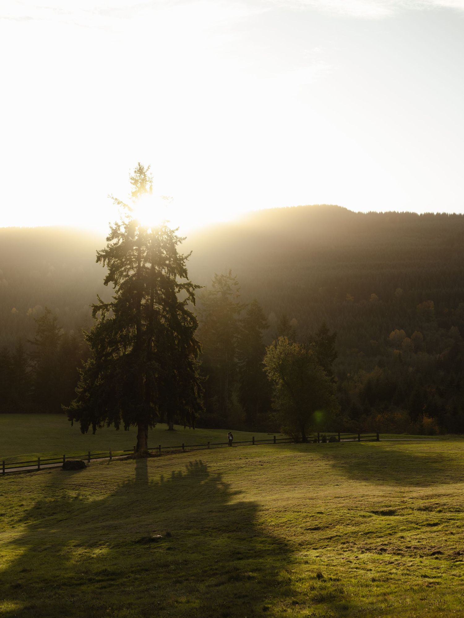 Dreamy engagement photos near Seattle, Washington in Mount Vernon, Washington during the fall.
