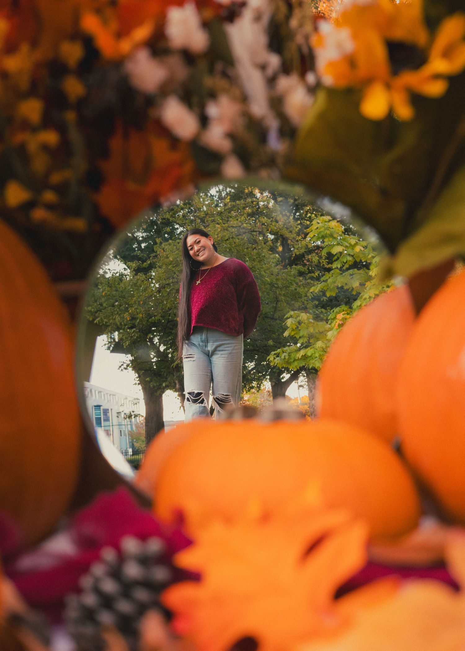 Creative autumn composition with orange pumpkins in foreground and trees in background.