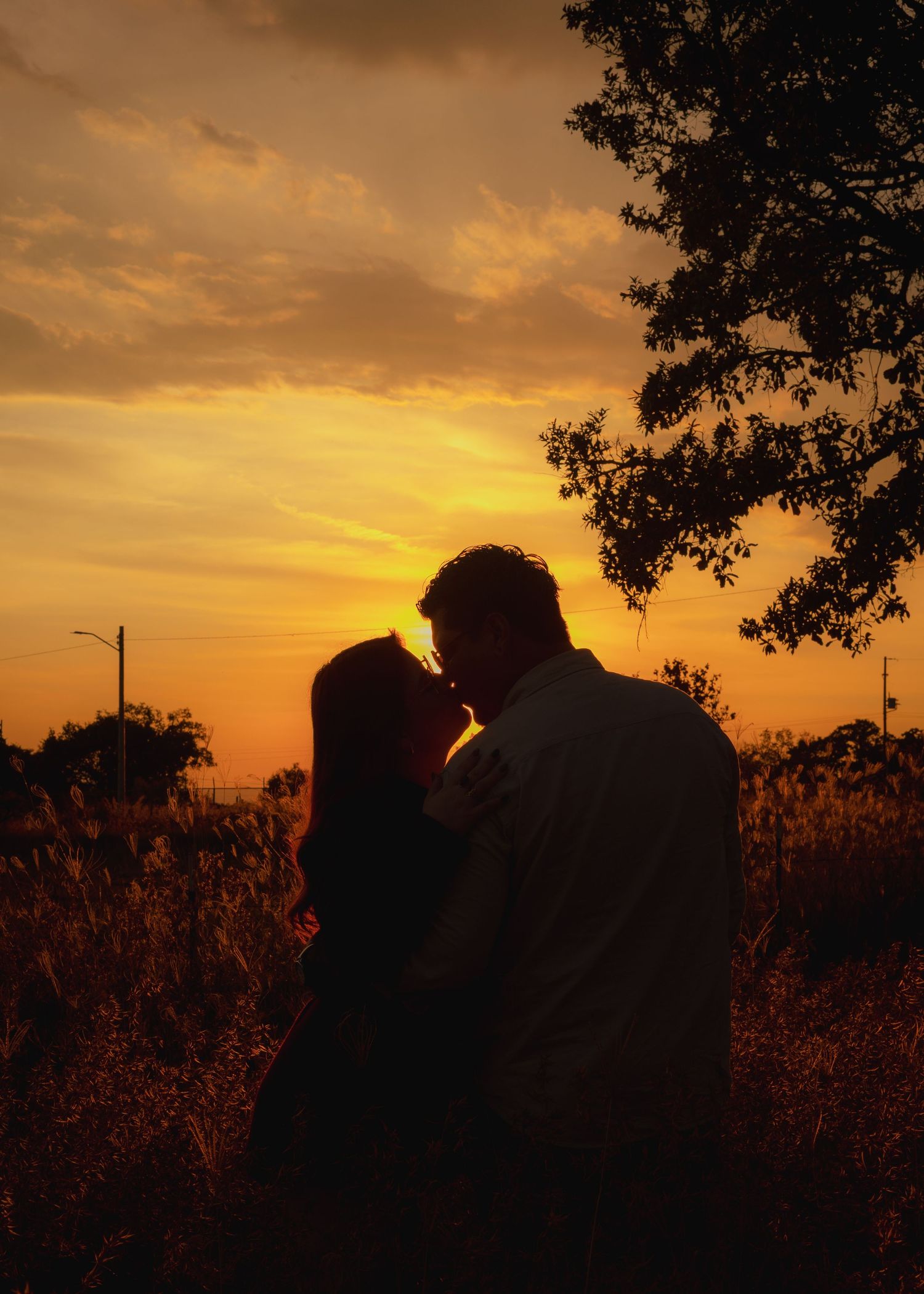 Silhouettes of a couple sharing an intimate moment against a vibrant golden sunset sky with tree branches overhead.