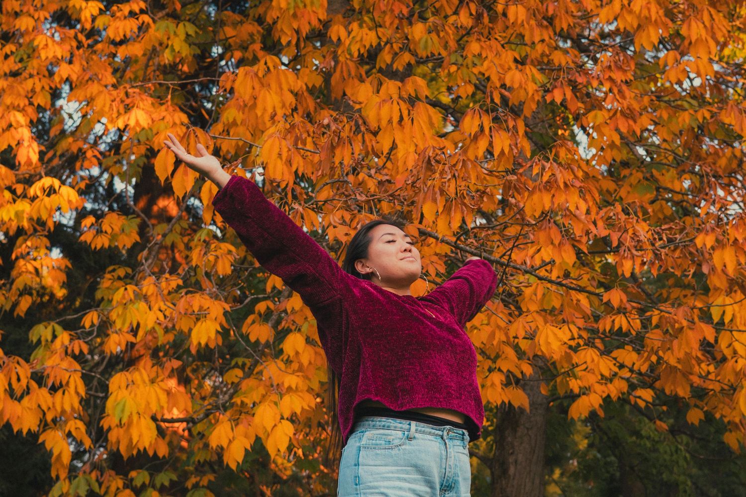 Vibrant autumn scene with orange maple leaves framing joyful moment.
