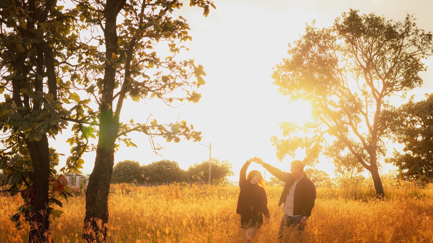 Golden sunset light illuminates a grassy meadow with silhouetted trees creating a peaceful panoramic landscape.