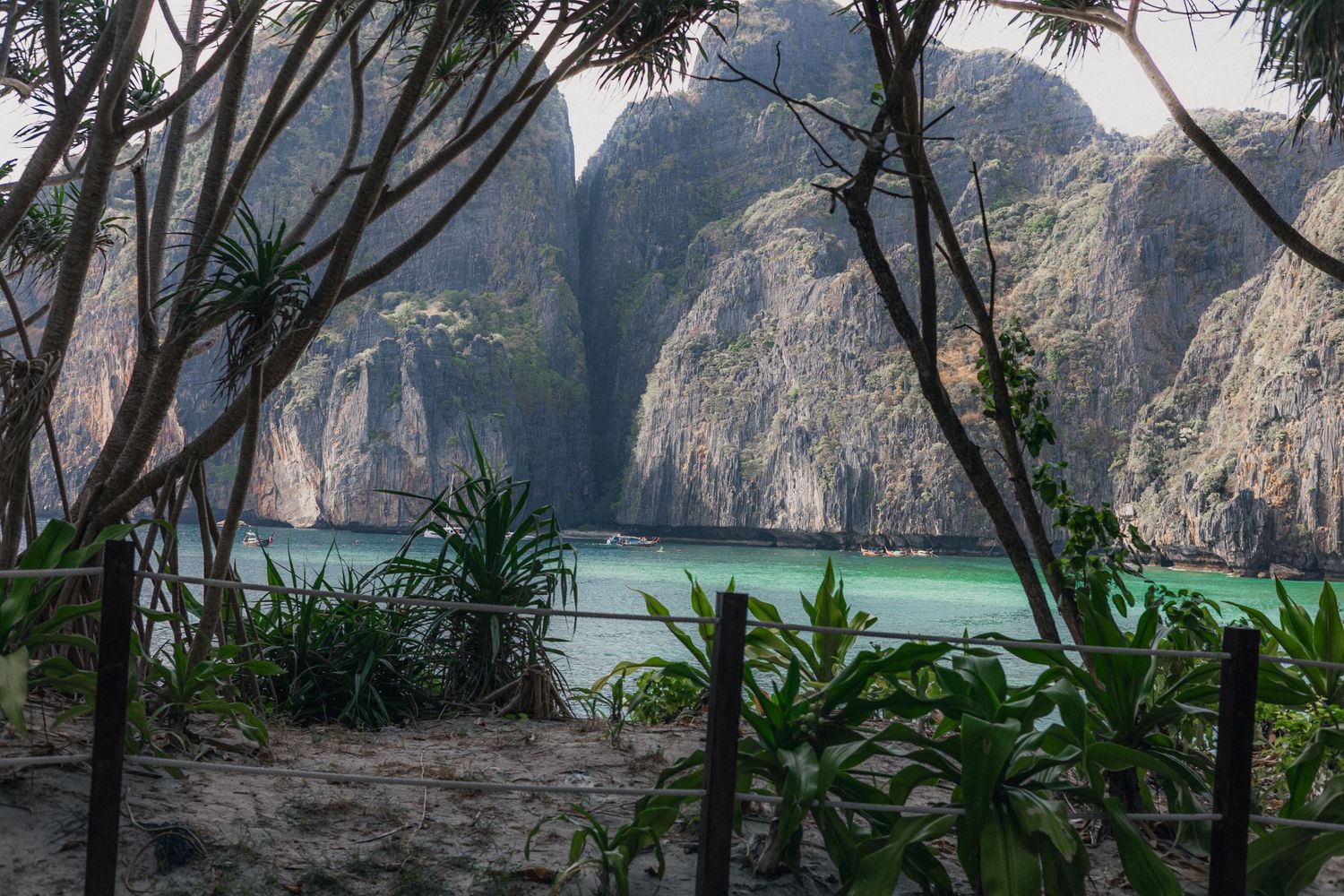 Lush tropical jungle frames a stunning turquoise bay surrounded by towering limestone cliffs in Phi Phi Islands, Thailand.