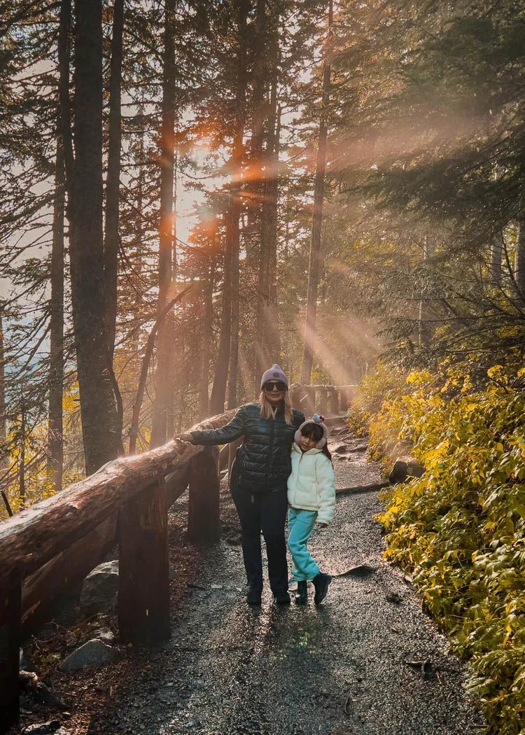Misty forest trail with sunbeams filtering through autumn trees.
