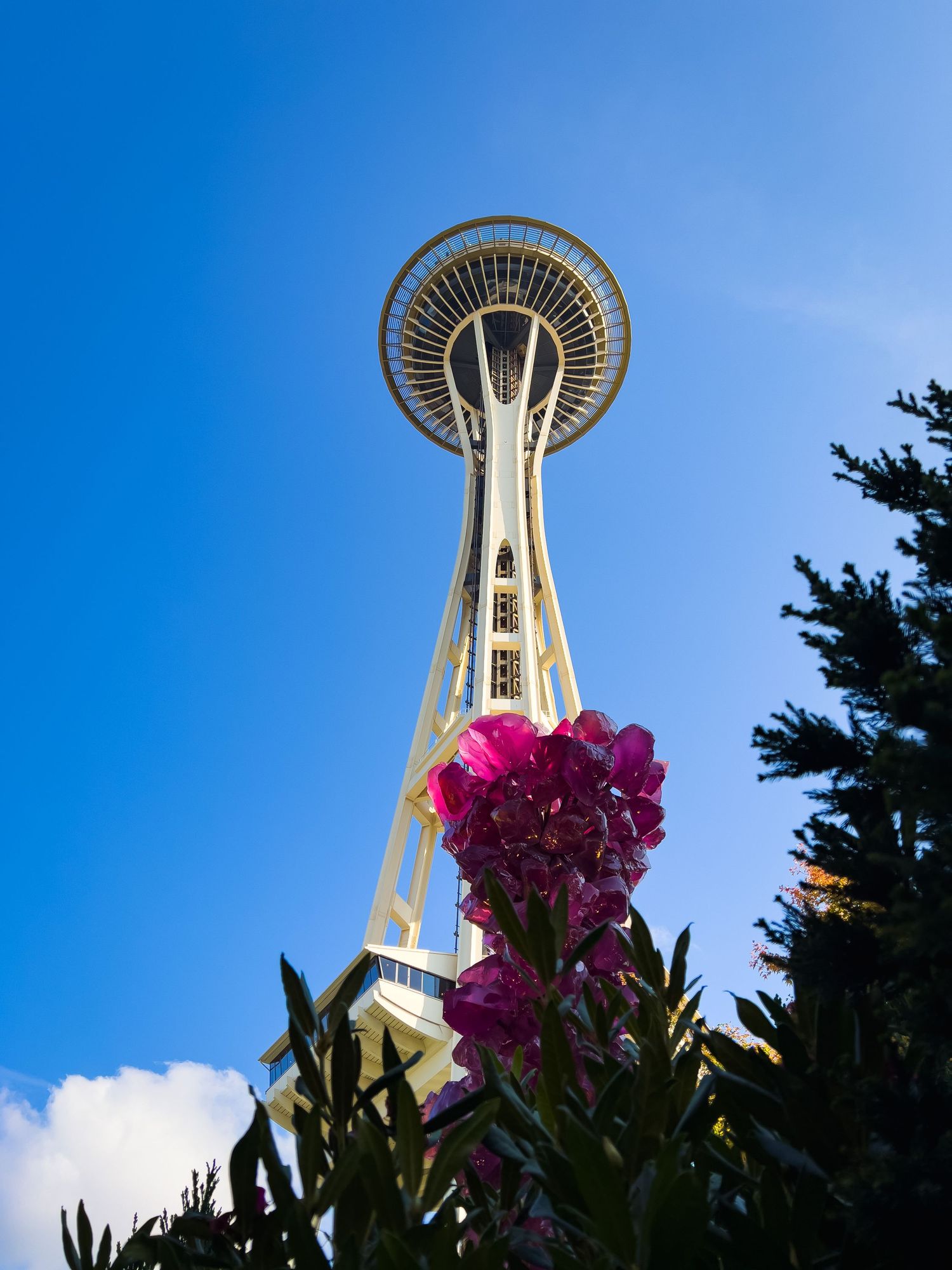 Seattle Space Needle tower framed with vibrant pink flowers against a bright blue sky.