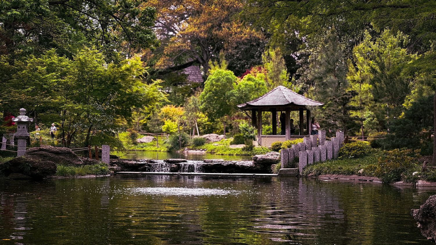 Panoramic view of lakeside properties with docks surrounded by lush summer foliage.